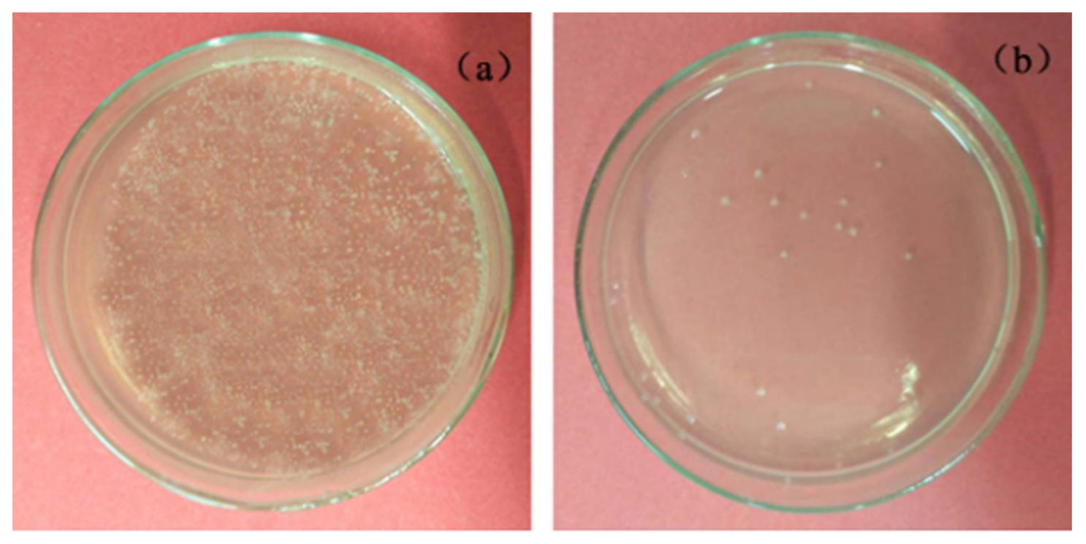 Coatings 13 00782 g006