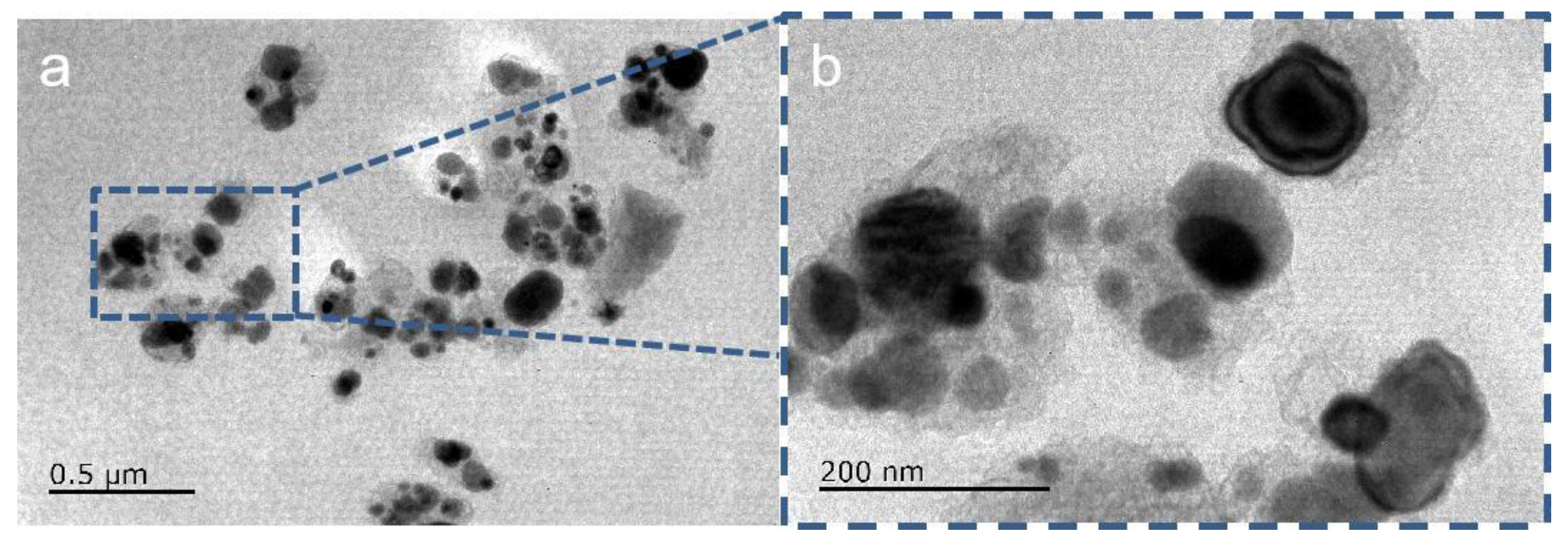 Coatings 13 00783 g001 Coatings 13 00783 g001