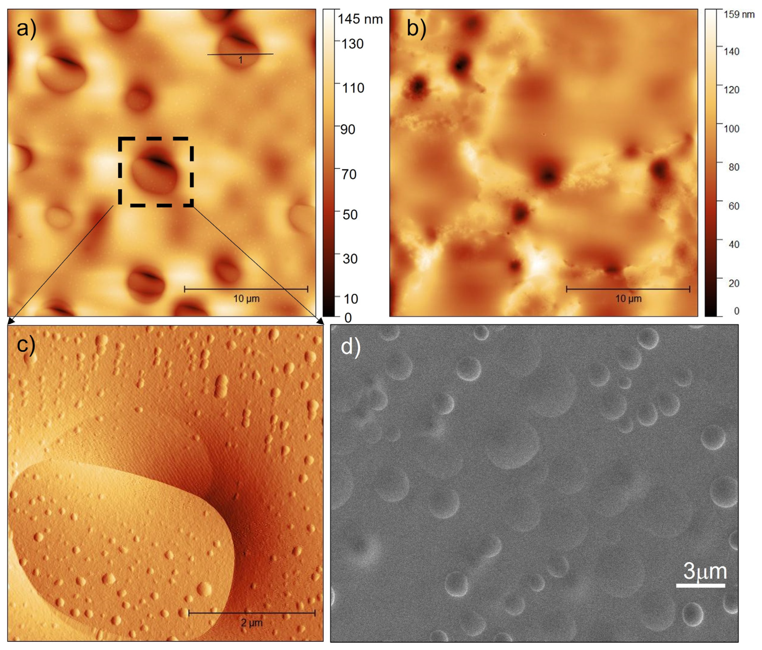 Coatings 13 00785 g003