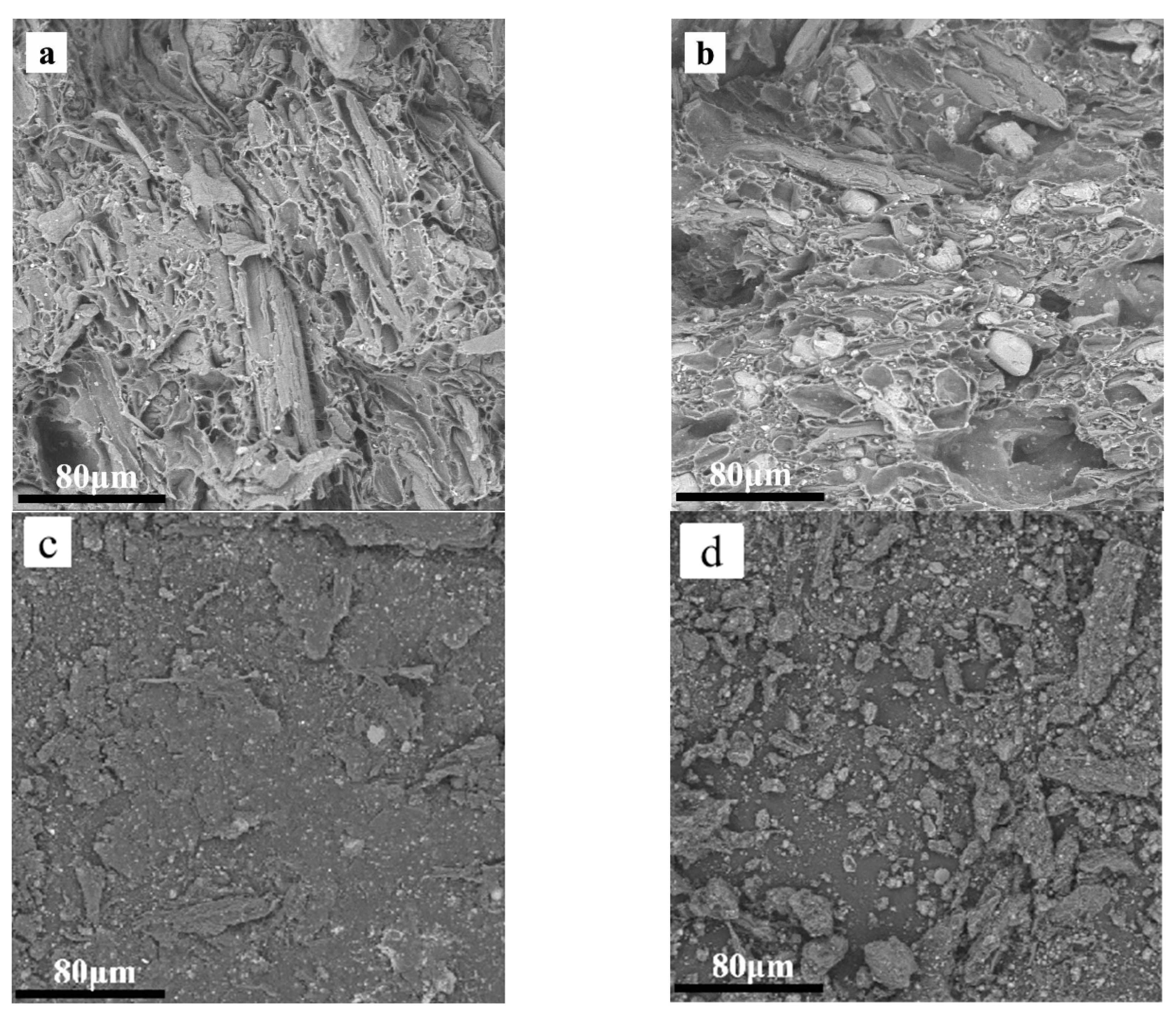 Coatings 13 00789 g007