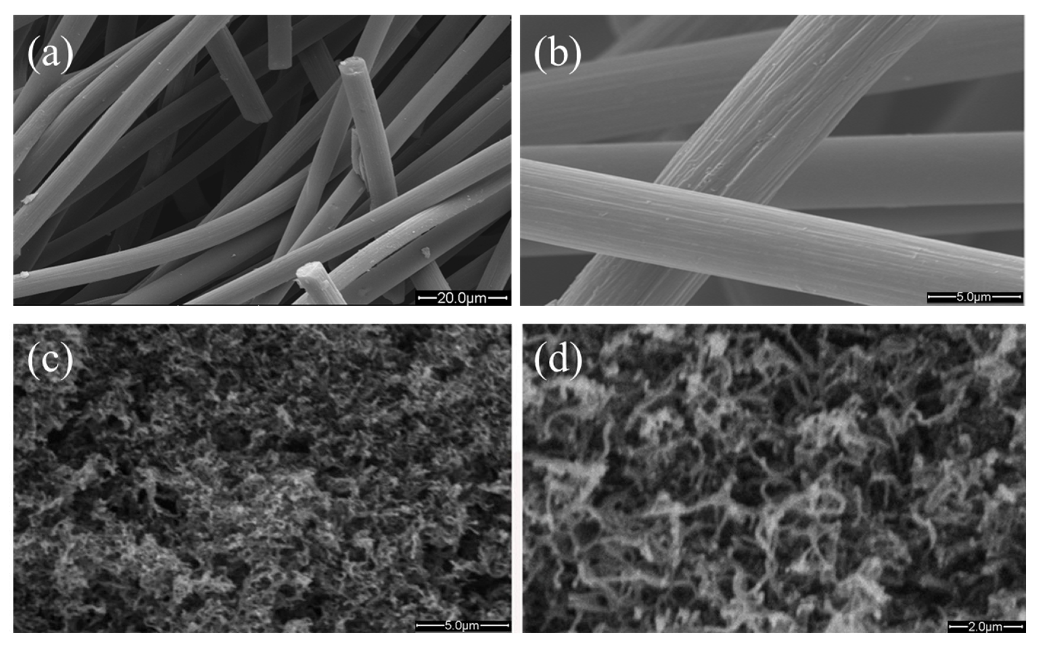 Coatings 13 00790 g001