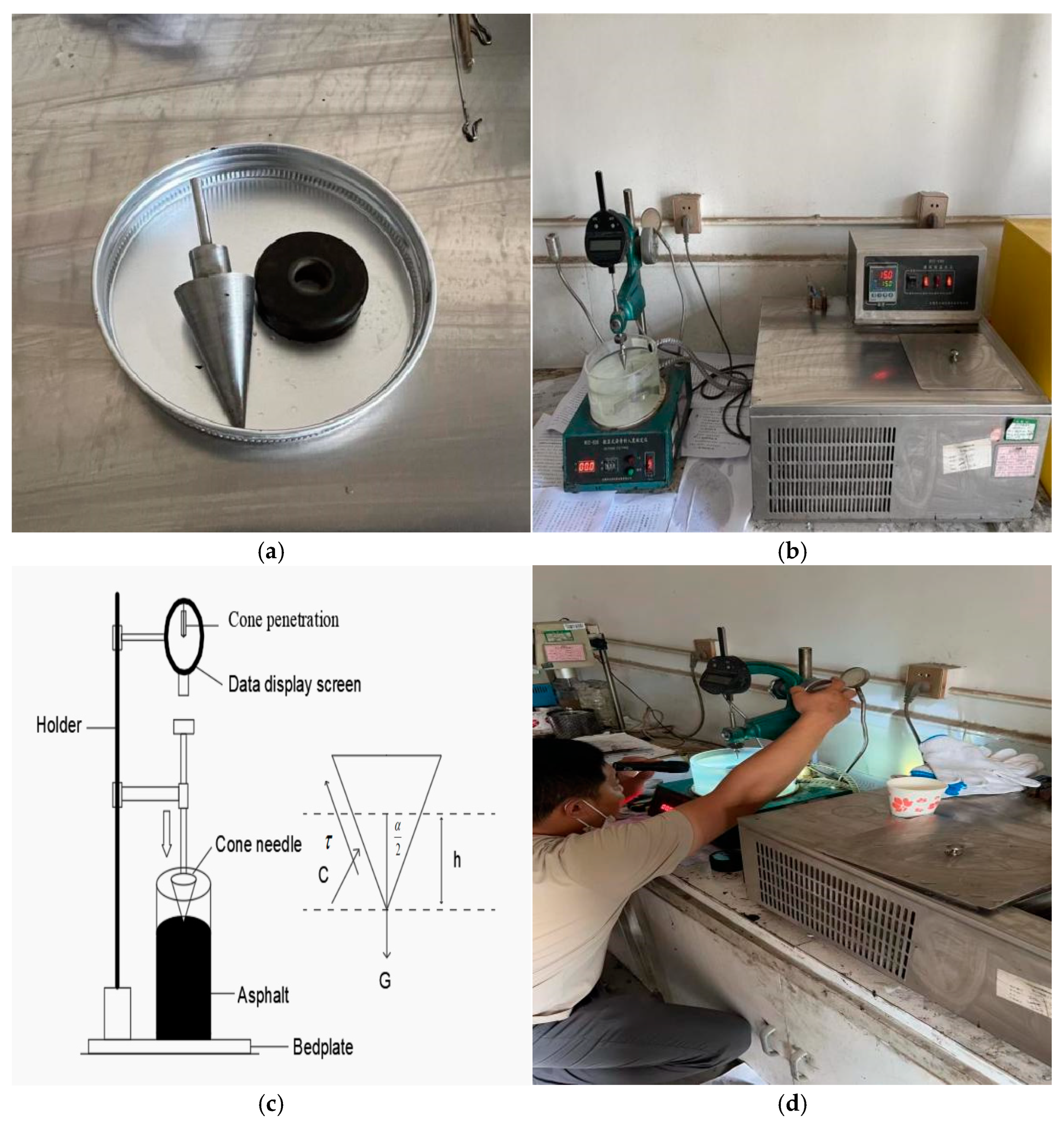 Coatings 13 00791 g003