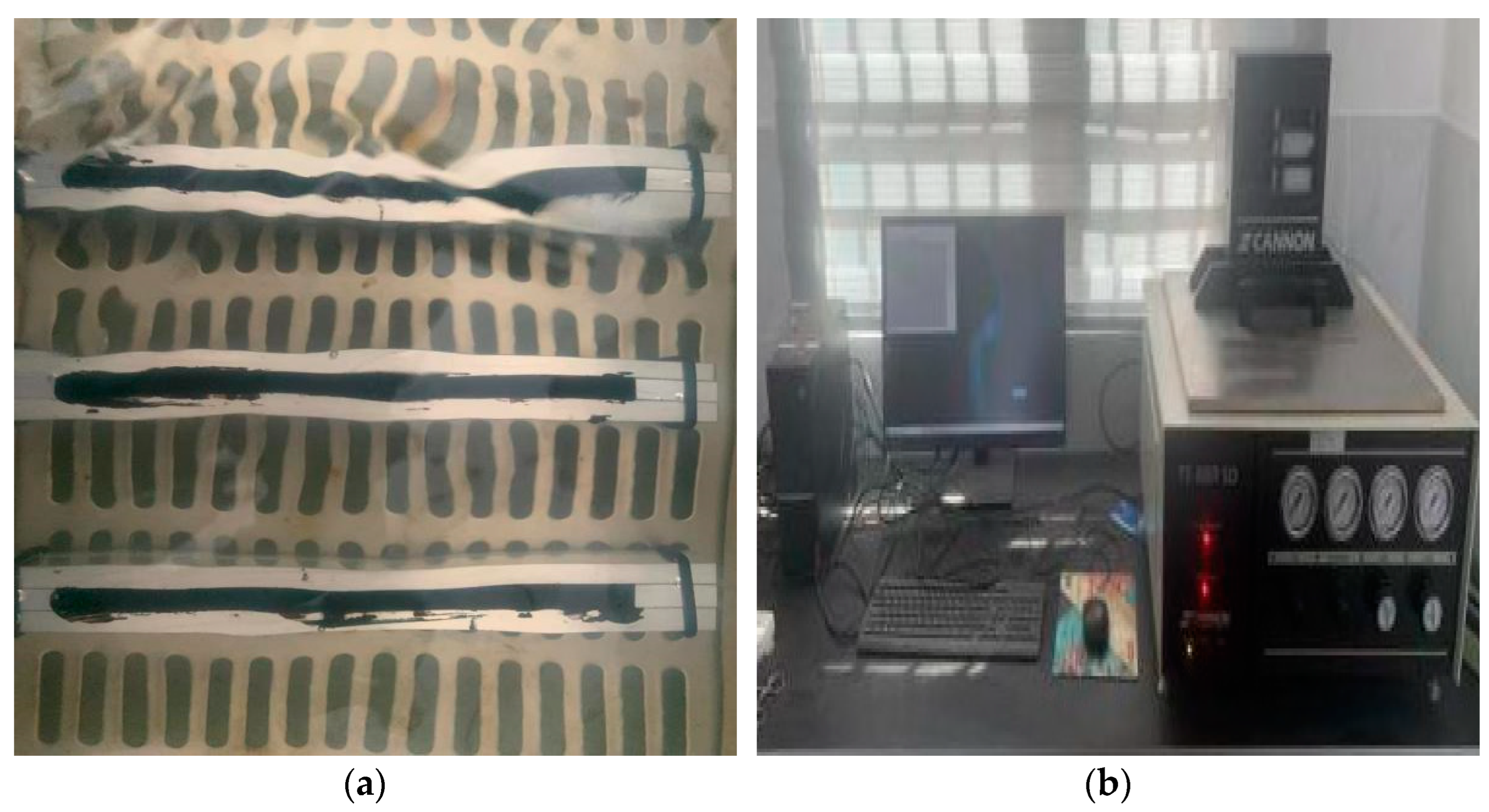 Coatings 13 00791 g004
