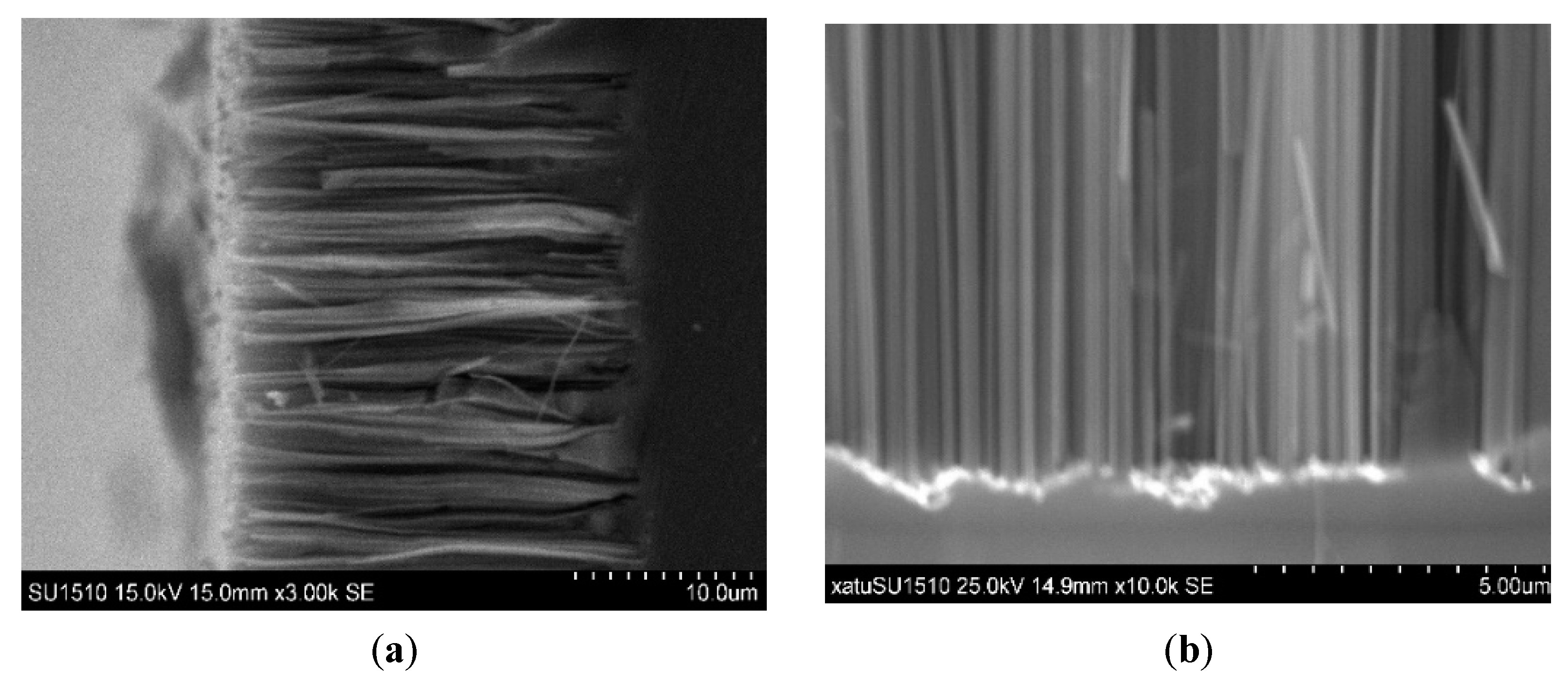 Coatings 13 00793 g002