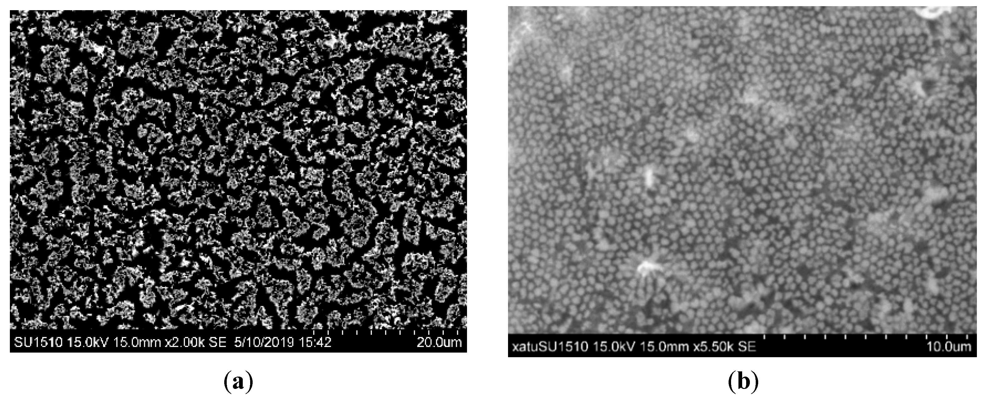 Coatings 13 00793 g003