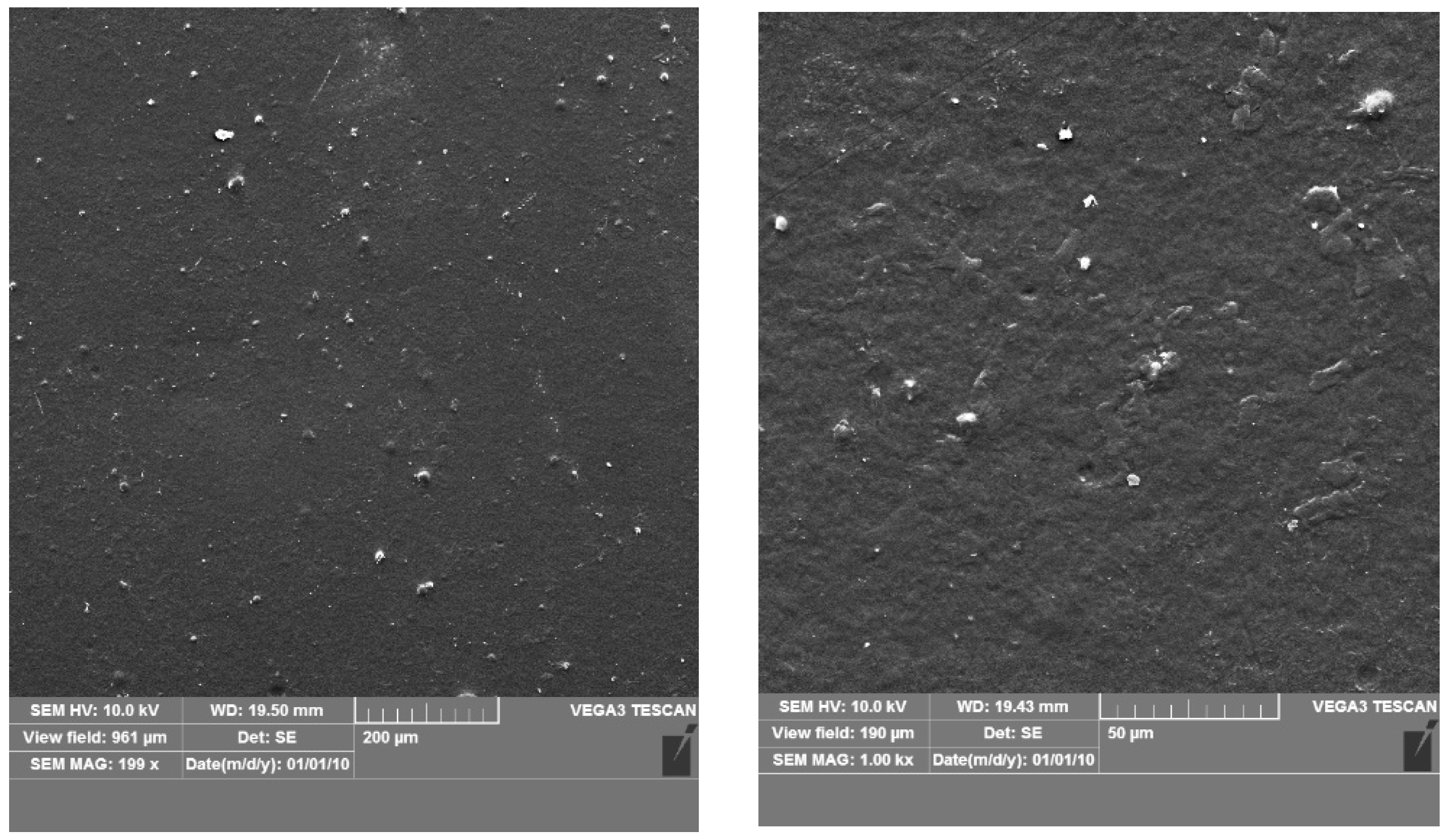 Coatings 13 00795 g003