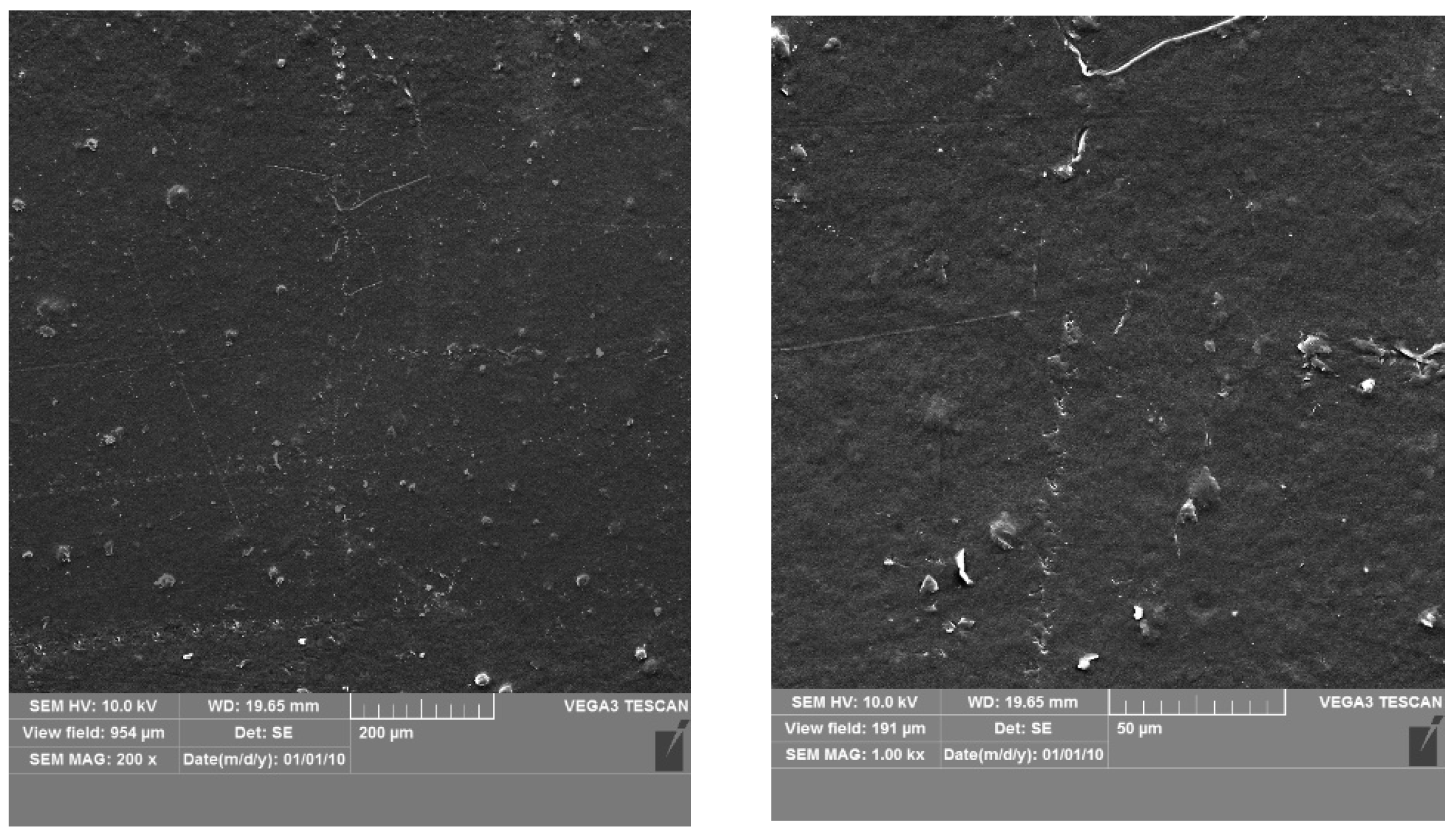 Coatings 13 00795 g004