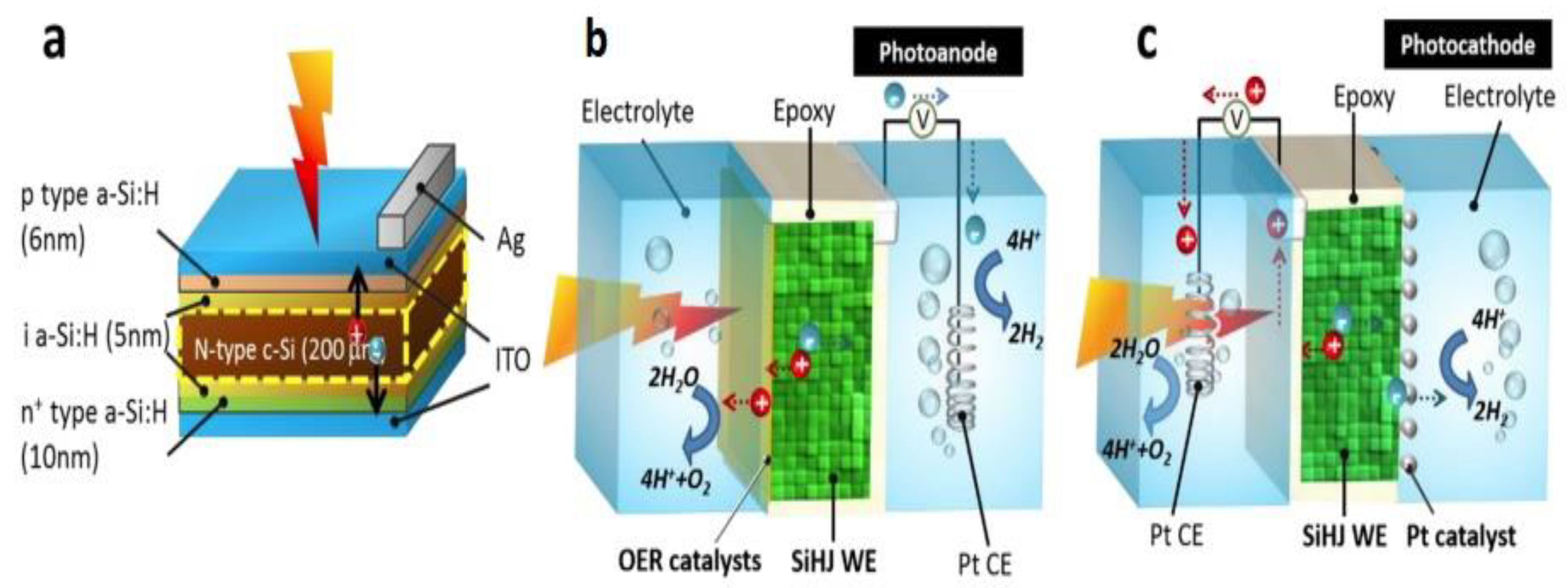Coatings 13 00796 g010