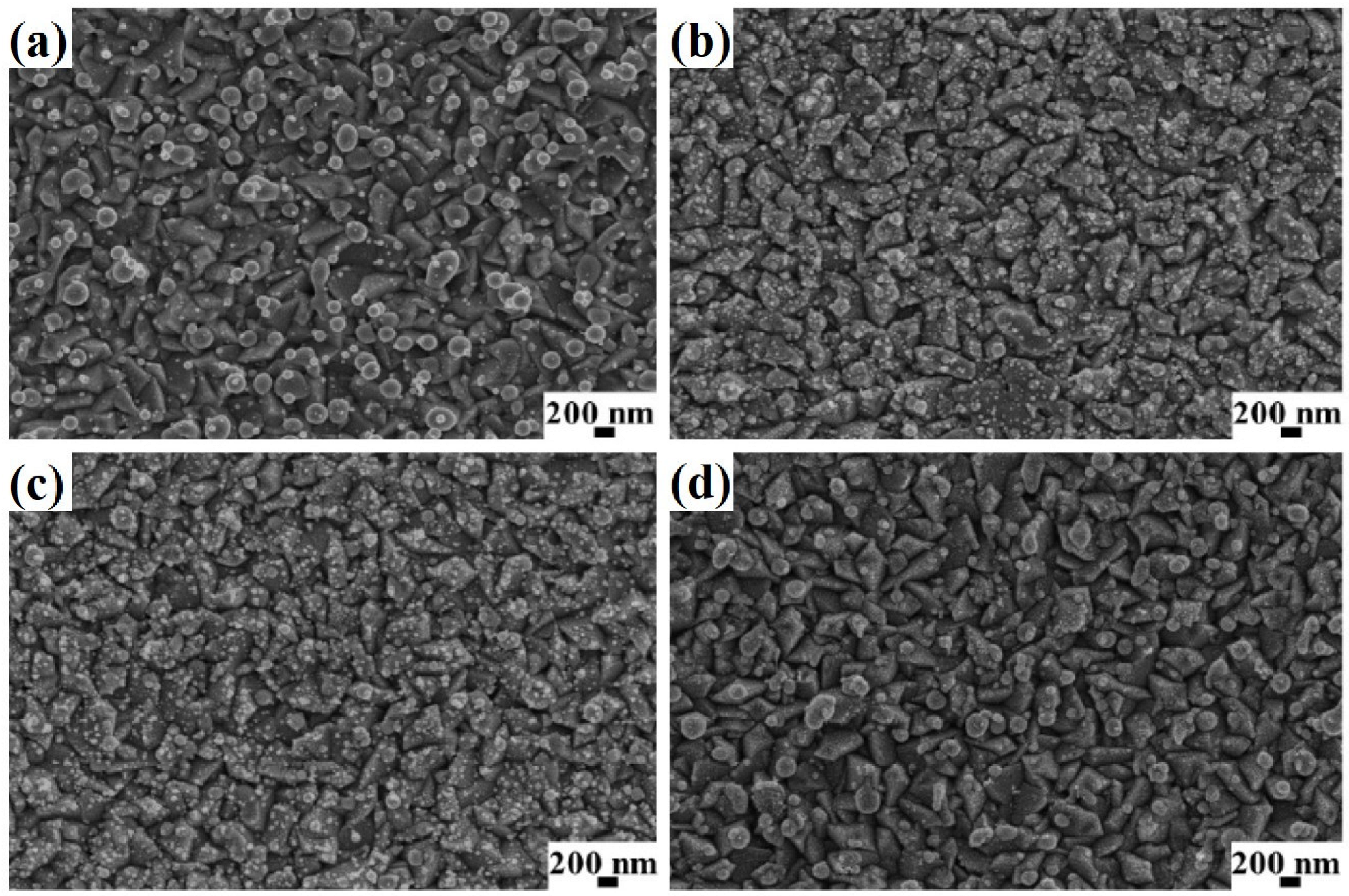 Coatings 13 00797 g002