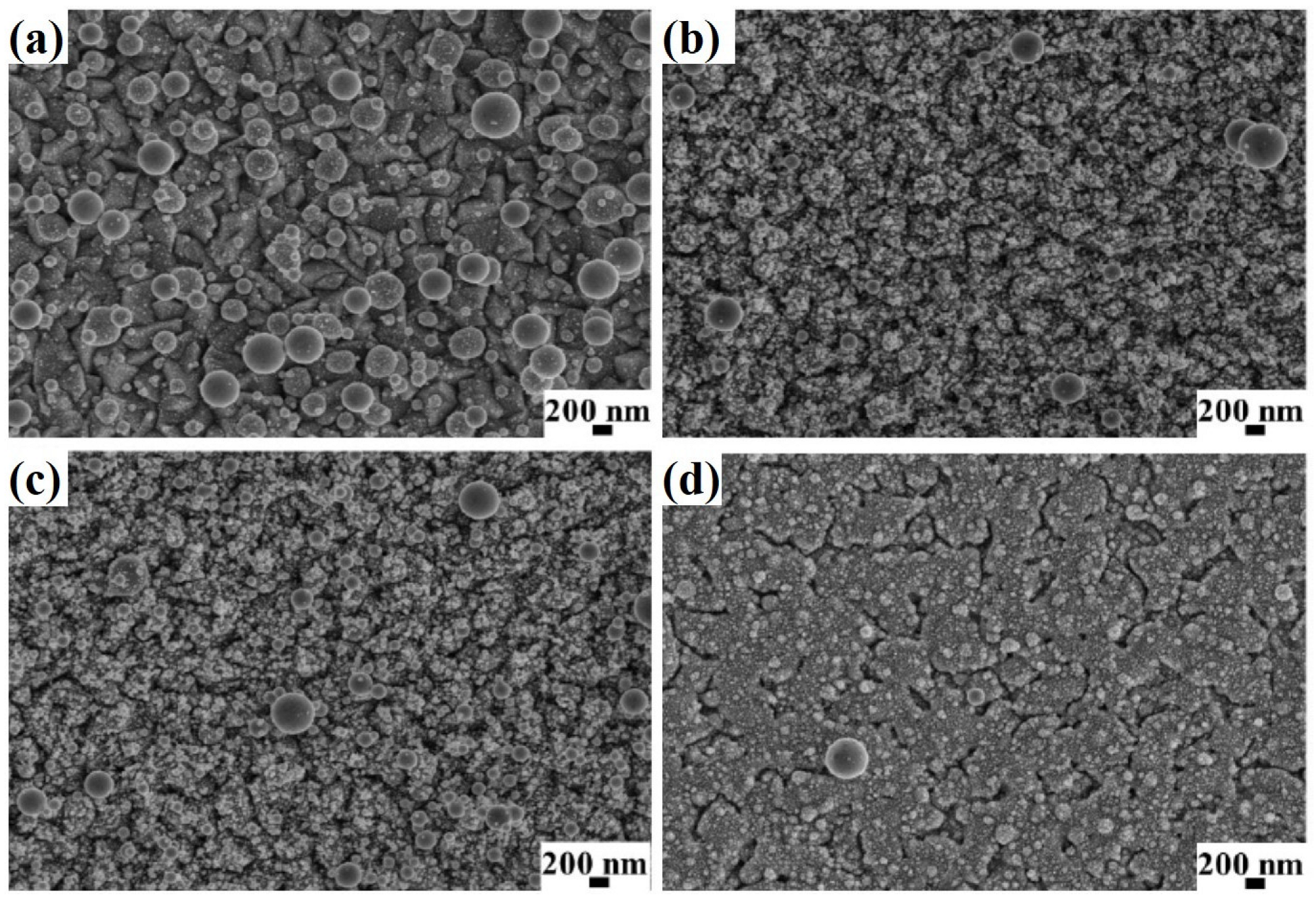 Coatings 13 00797 g003