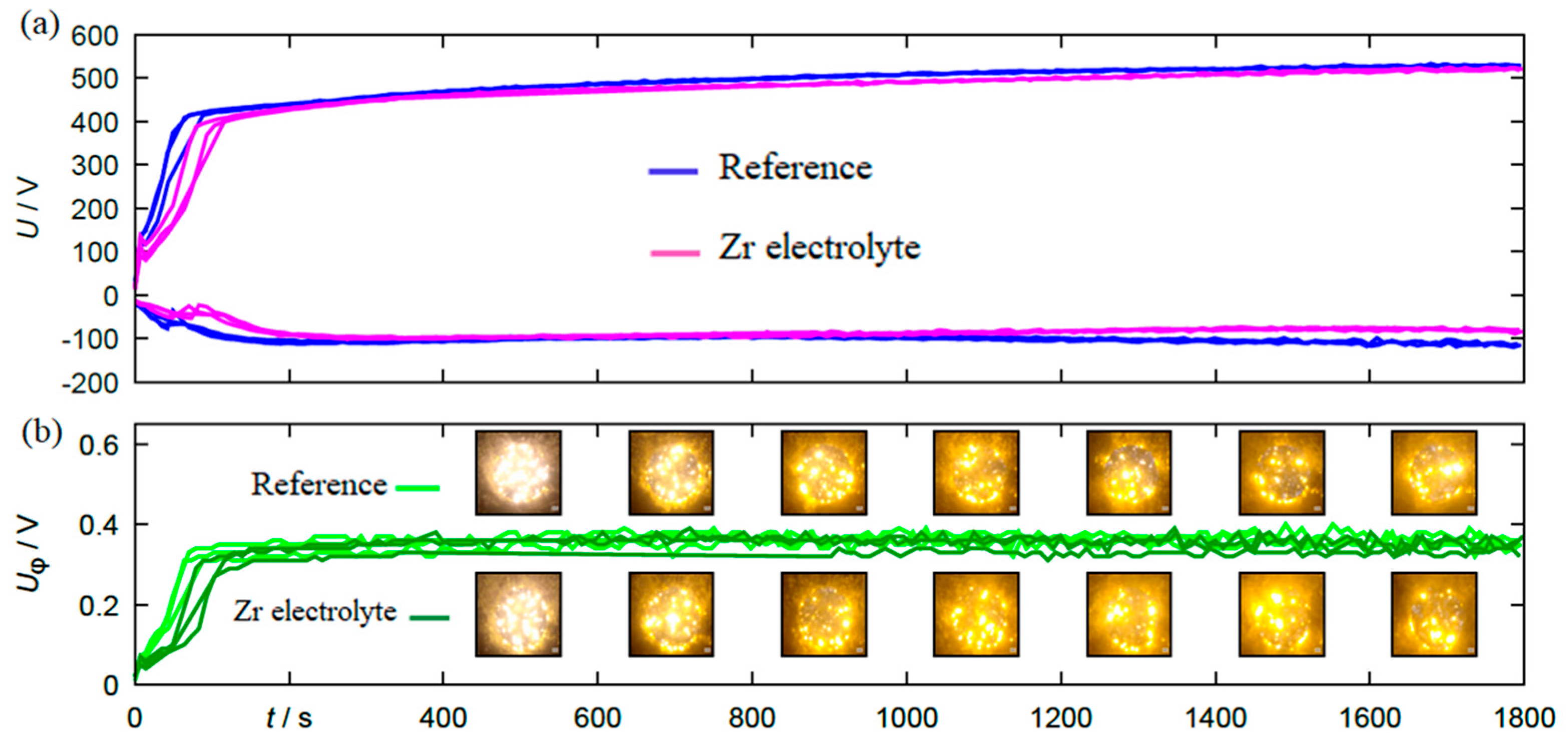 Coatings 13 00799 g002