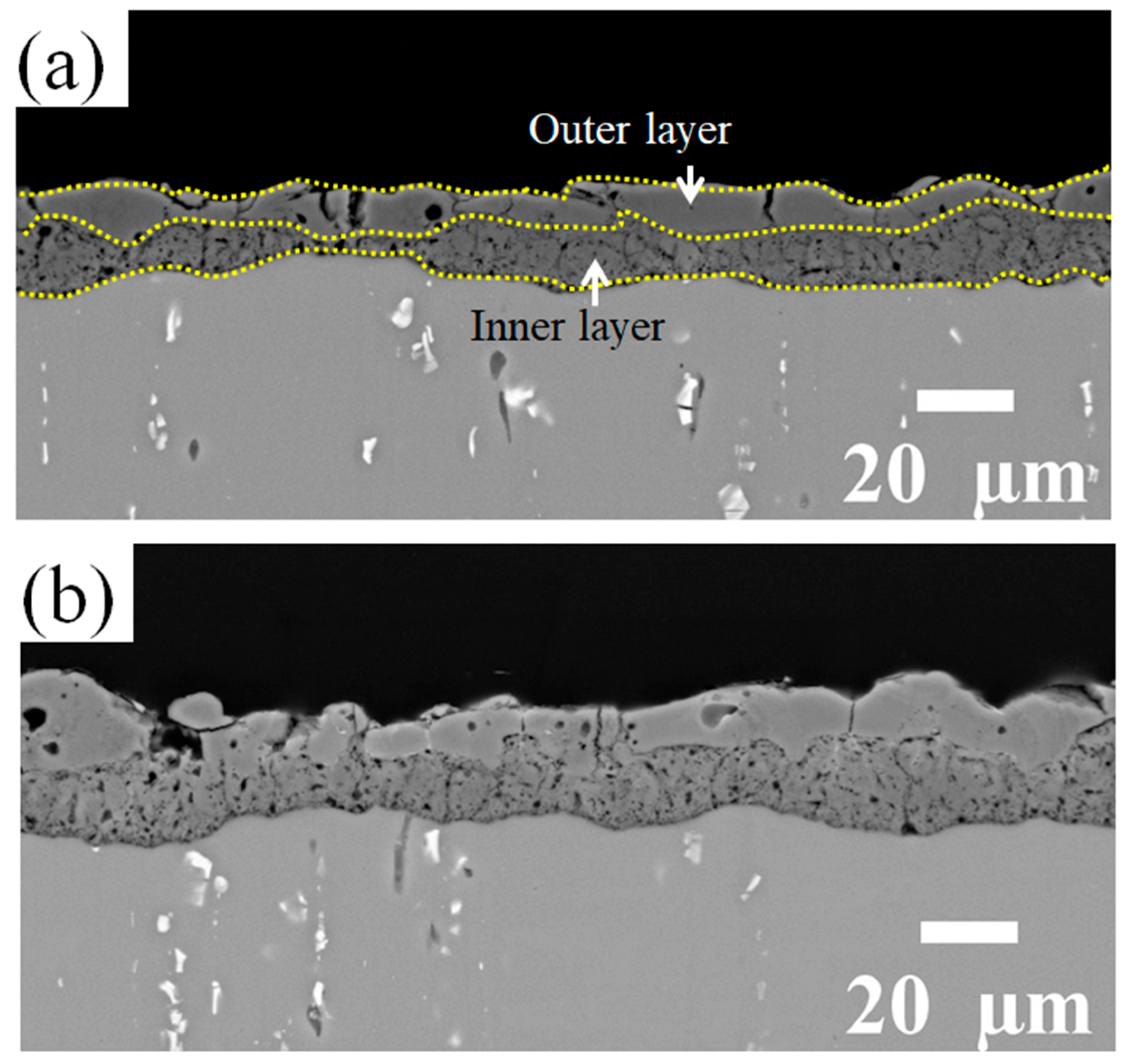 Coatings 13 00799 g004