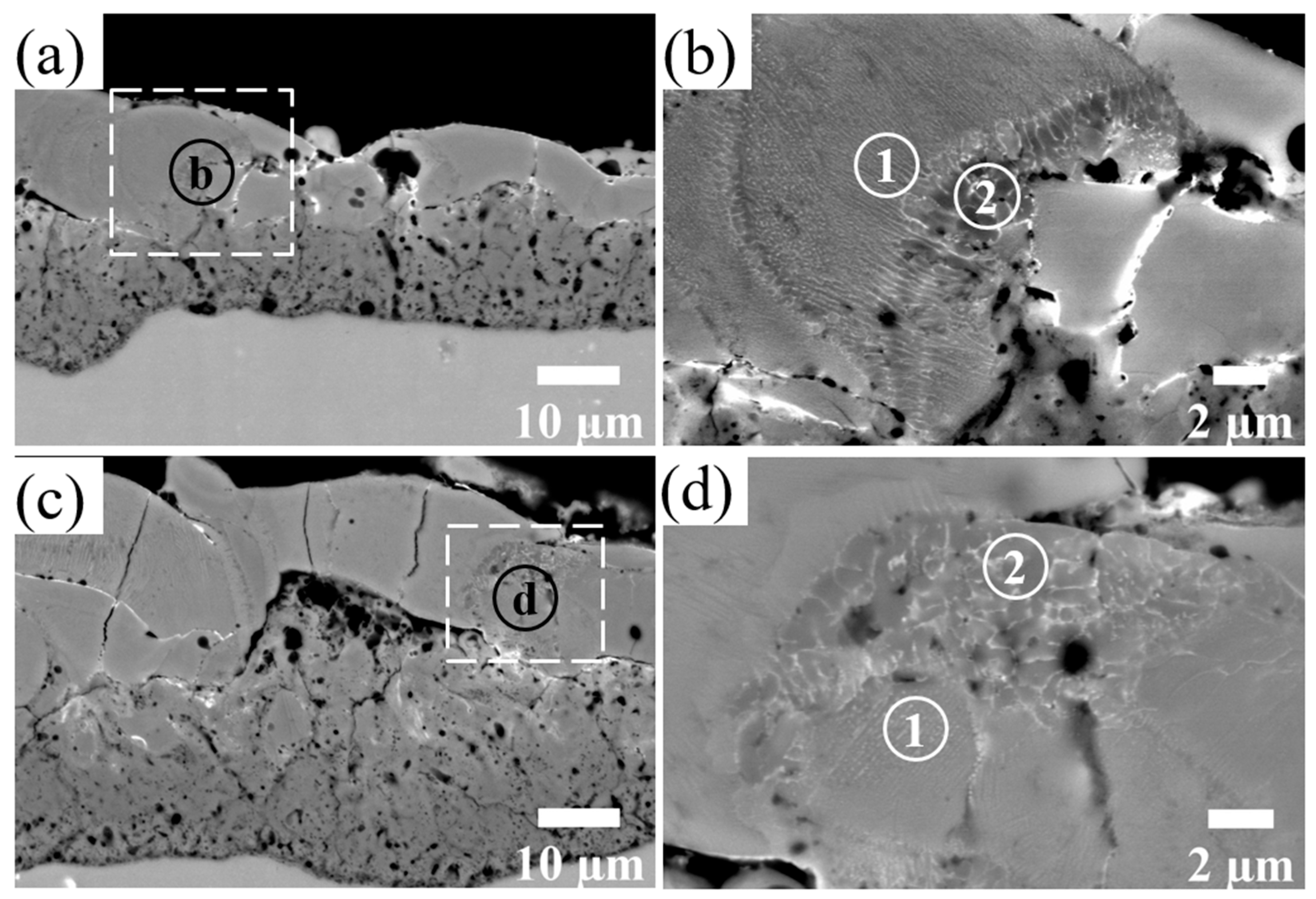 Coatings 13 00799 g006
