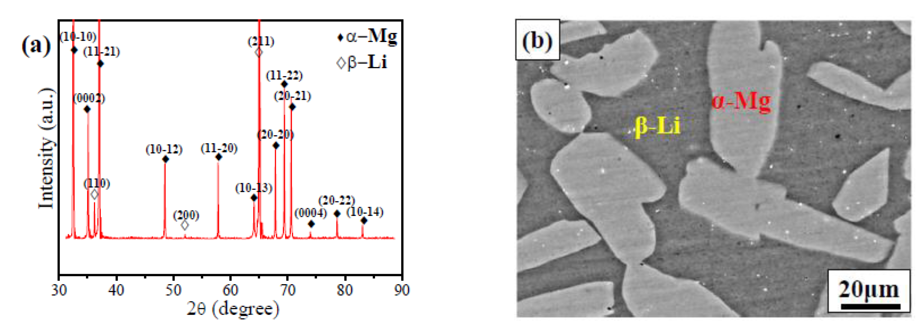 Coatings 13 00800 g002