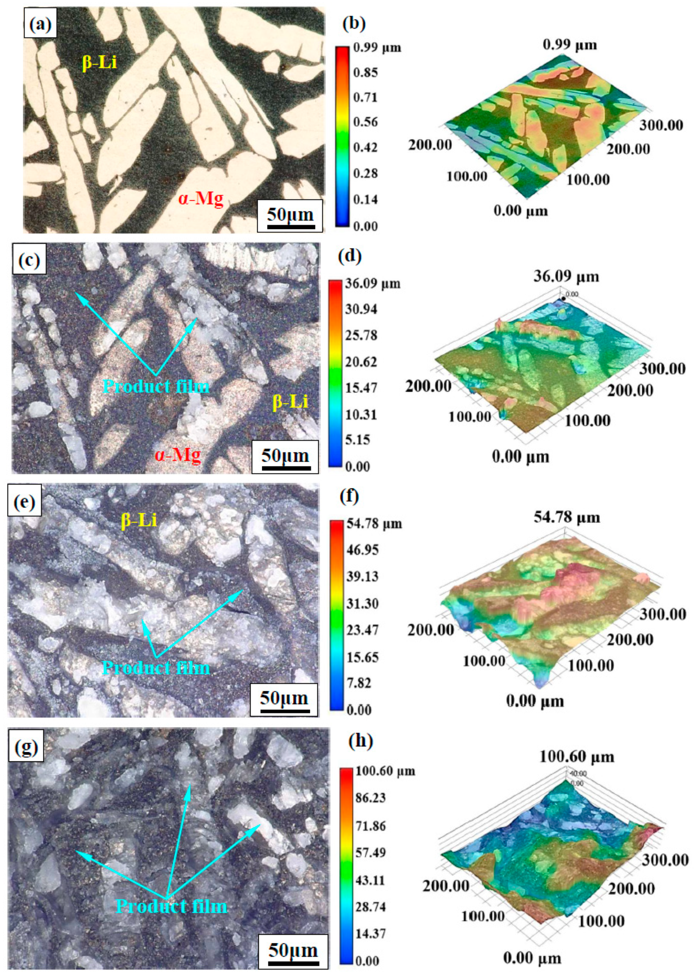 Coatings 13 00800 g003