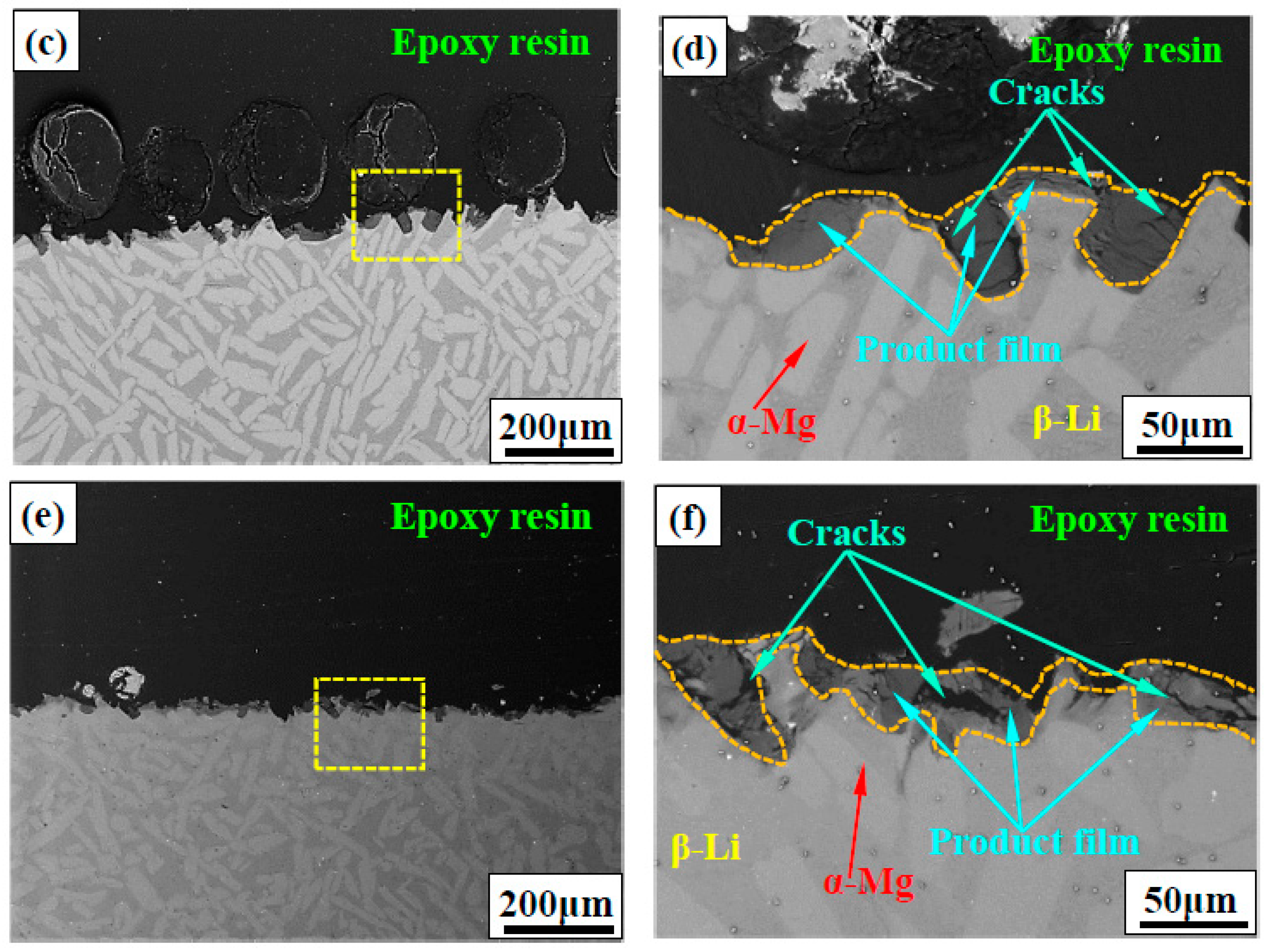 Coatings 13 00800 g005b