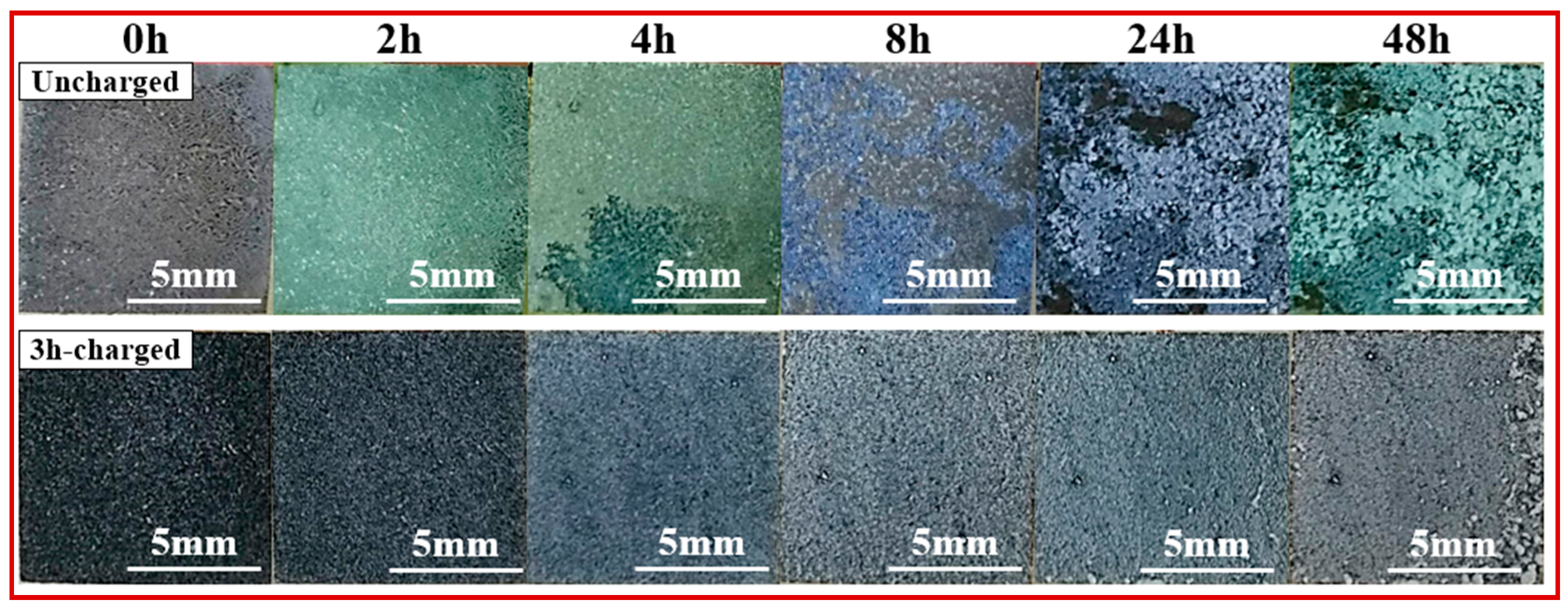 Coatings 13 00800 g009