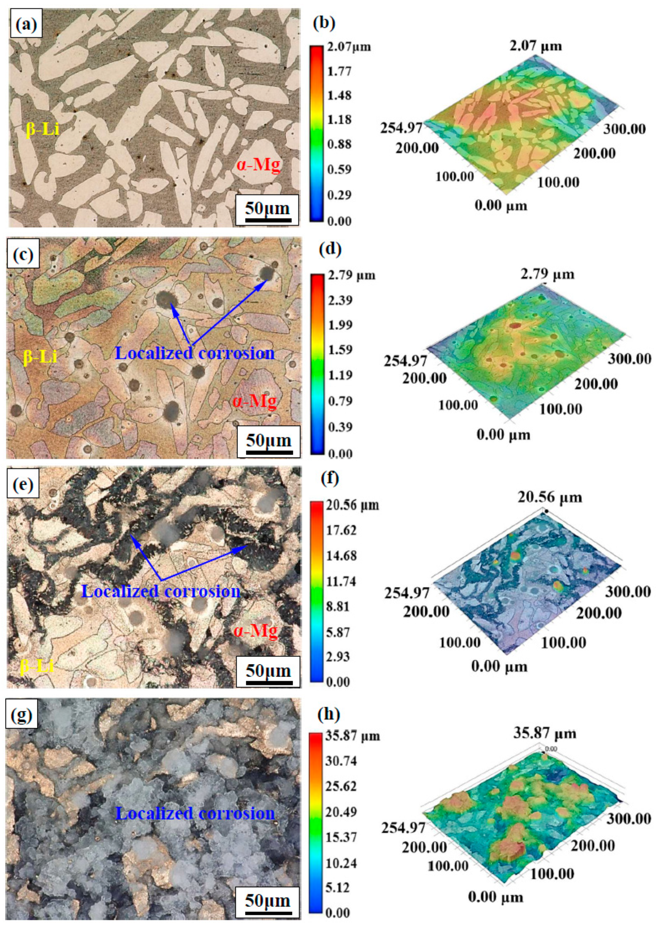 Coatings 13 00800 g010