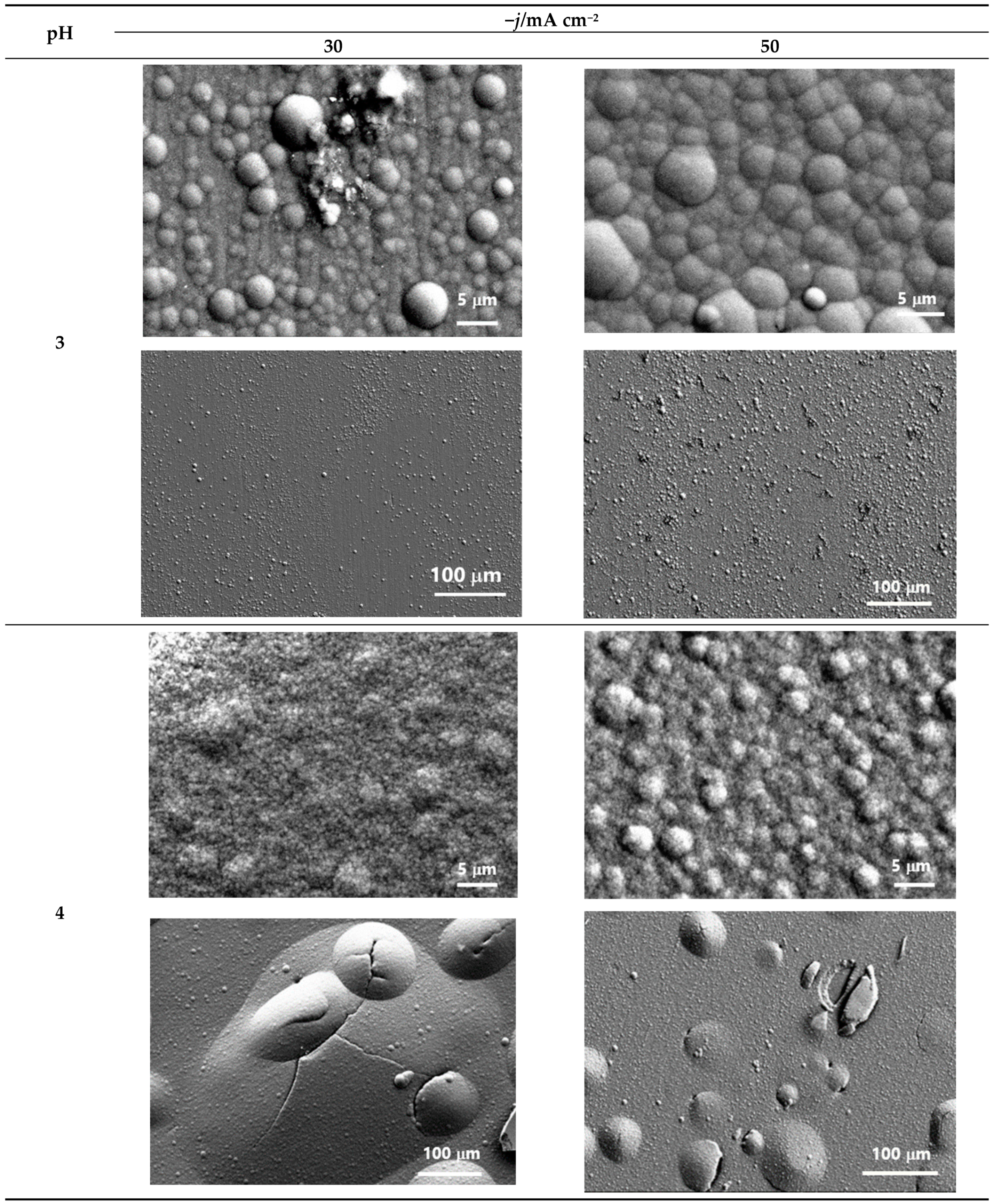 Coatings 13 00801 g003
