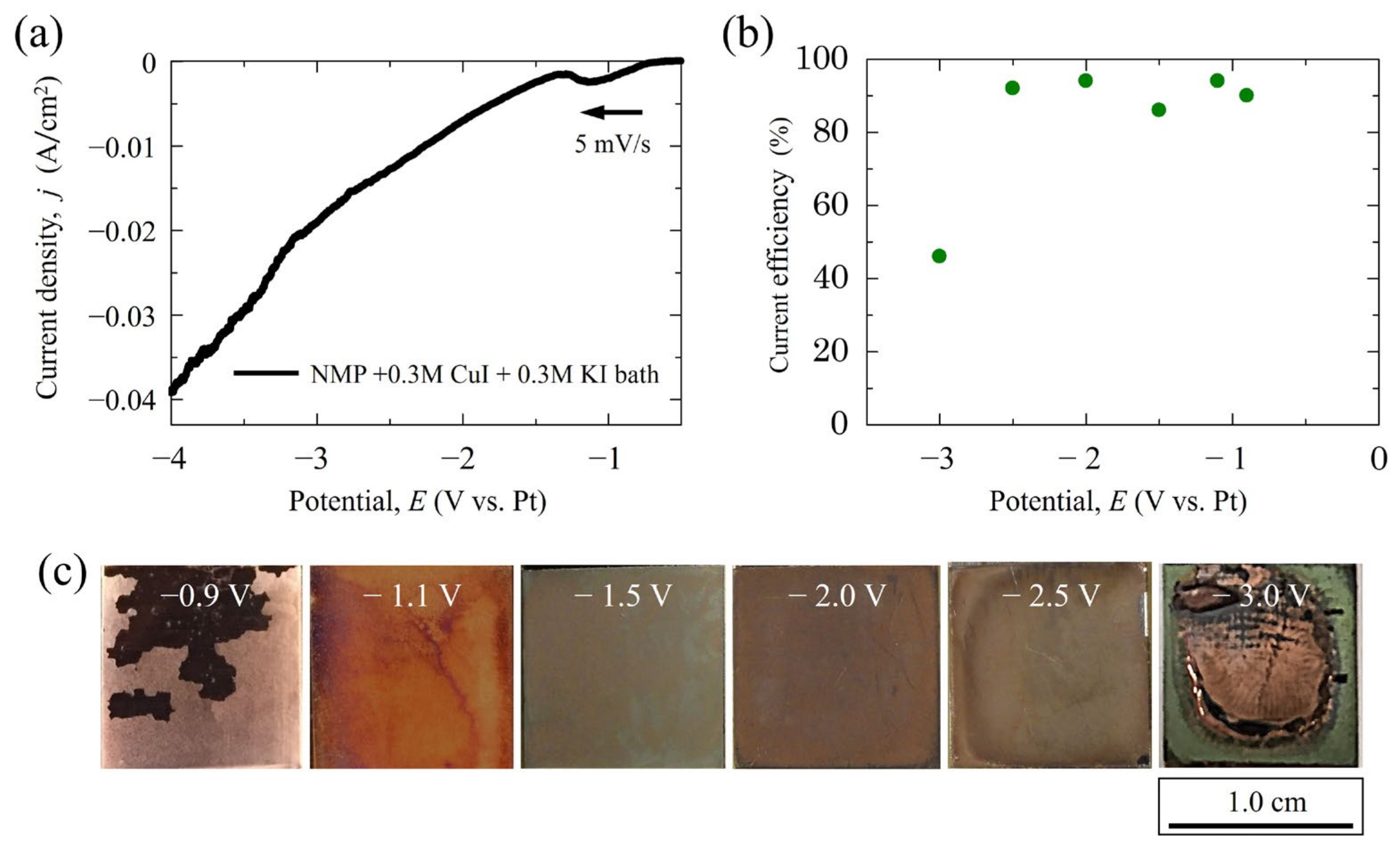 Coatings 13 00802 g003