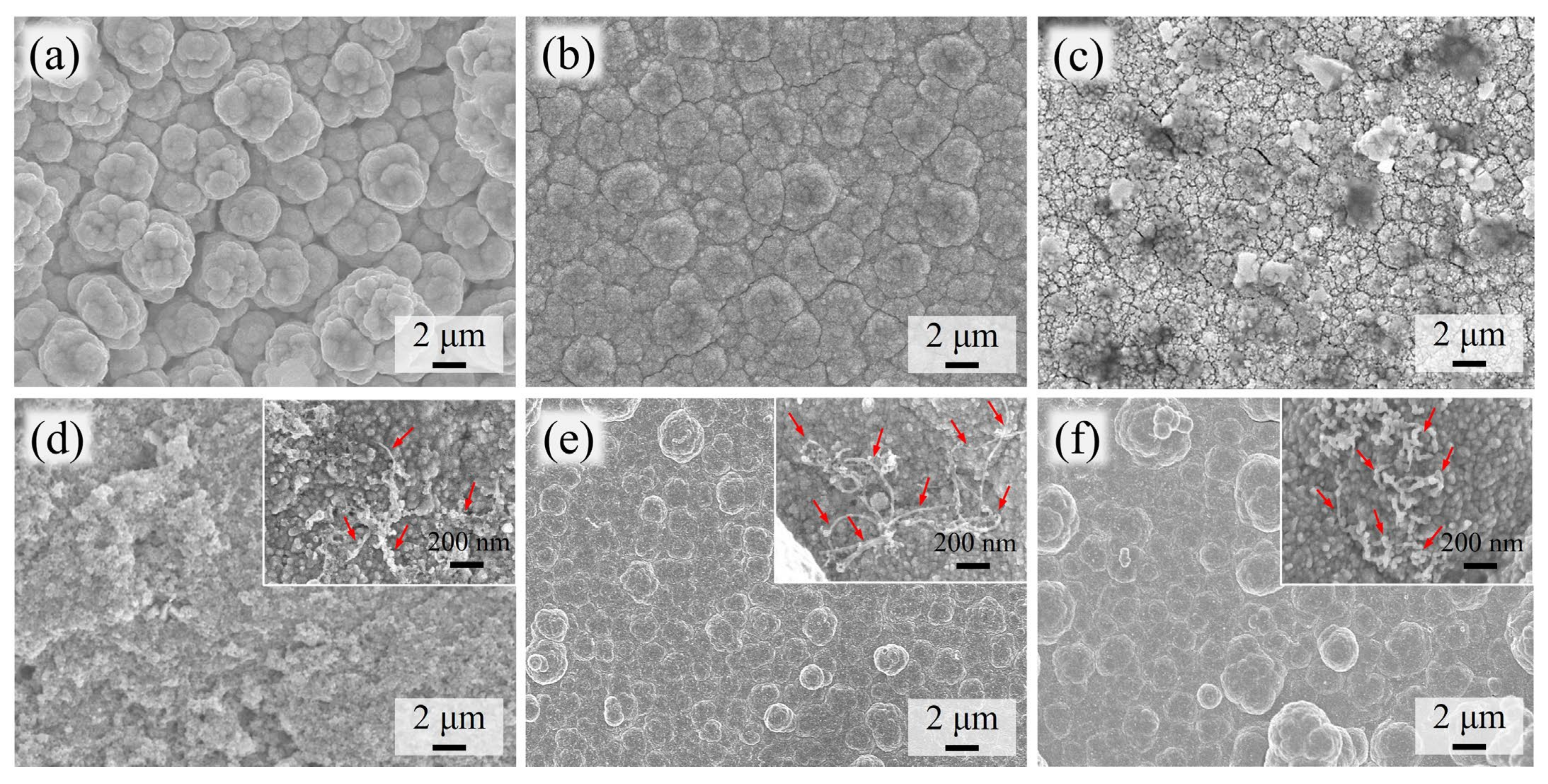 Coatings 13 00802 g006