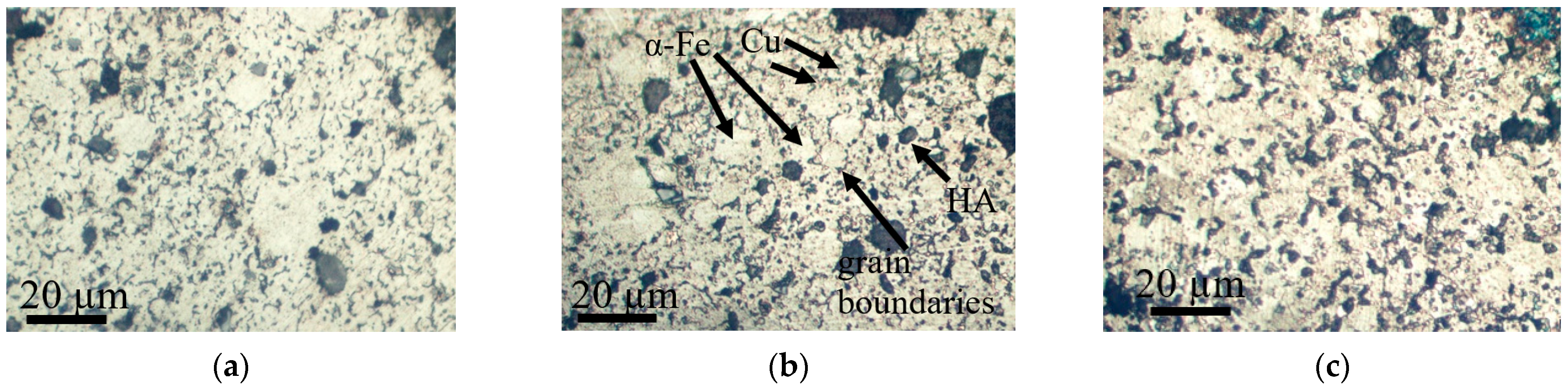 Coatings 13 00803 g008