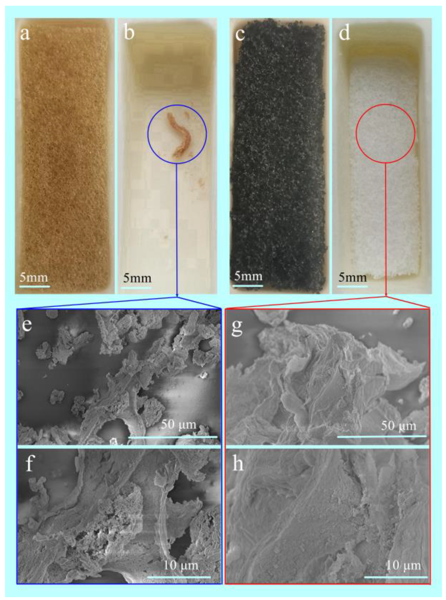 Coatings 13 00807 g004 Coatings 13 00807 g004