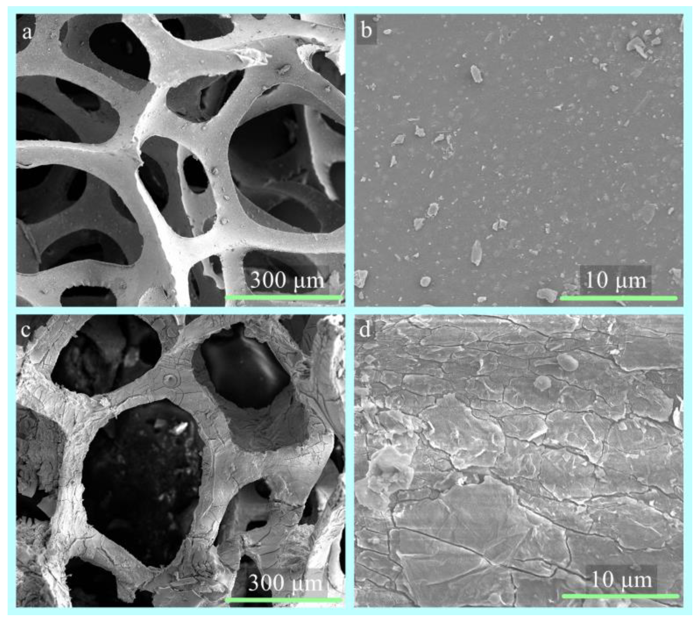 Coatings 13 00807 g009 Coatings 13 00807 g009