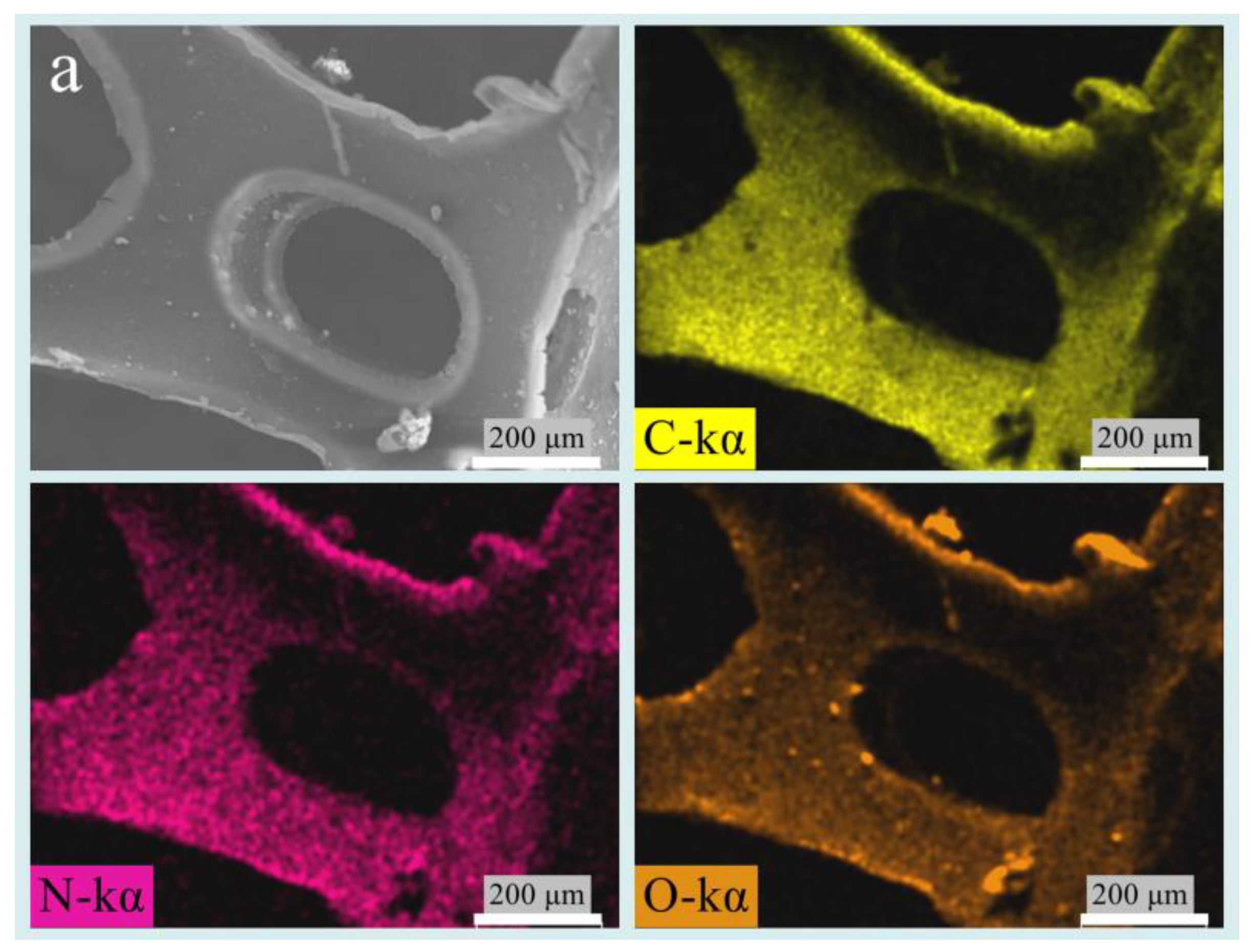 Coatings 13 00807 g010a Coatings 13 00807 g010a