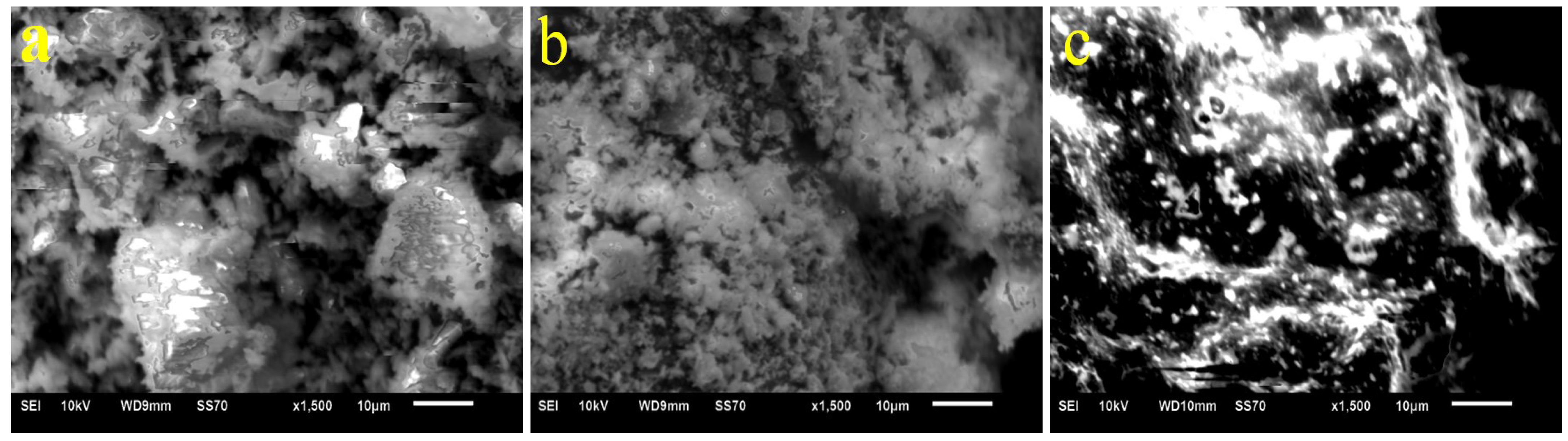 Coatings 13 00808 g013
