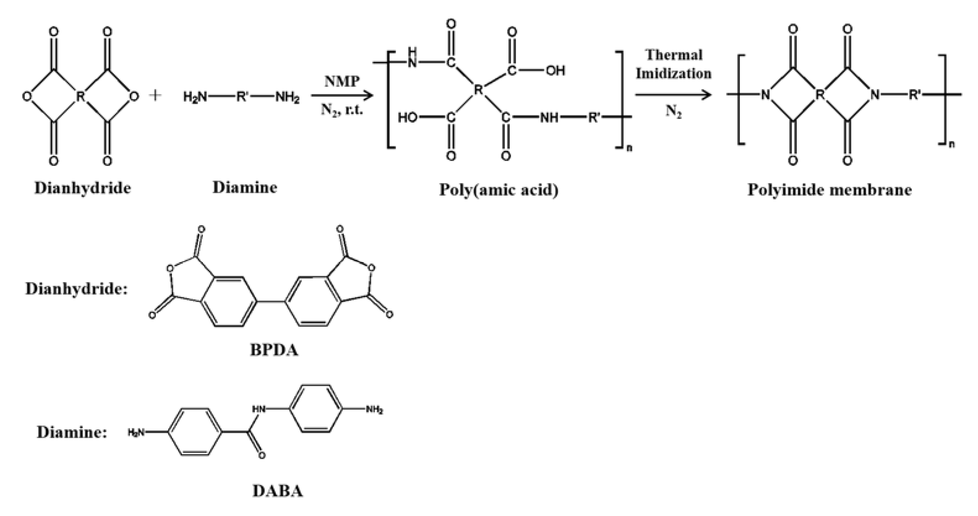 Coatings 13 00811 g001