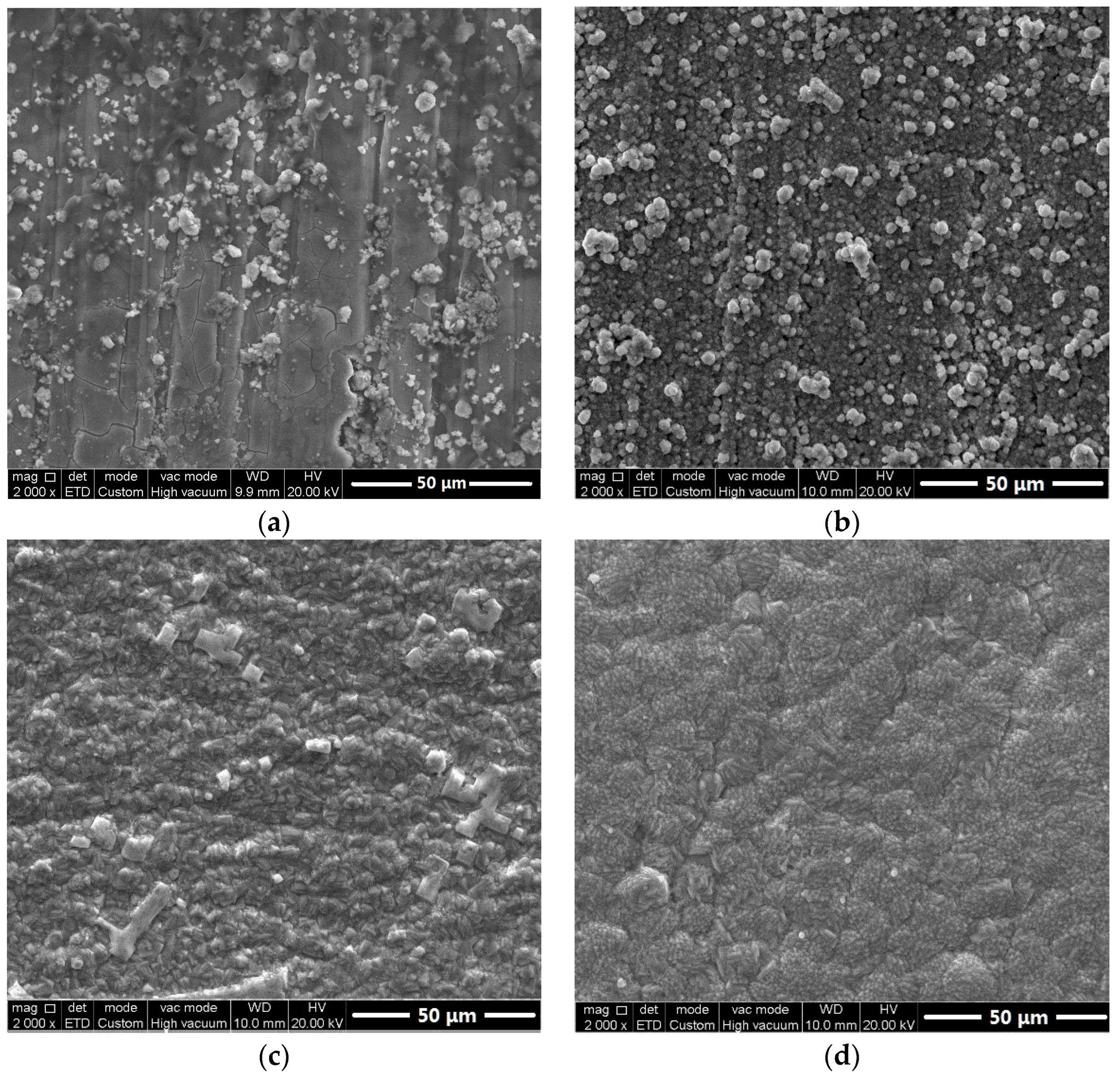 Coatings 13 00821 g006
