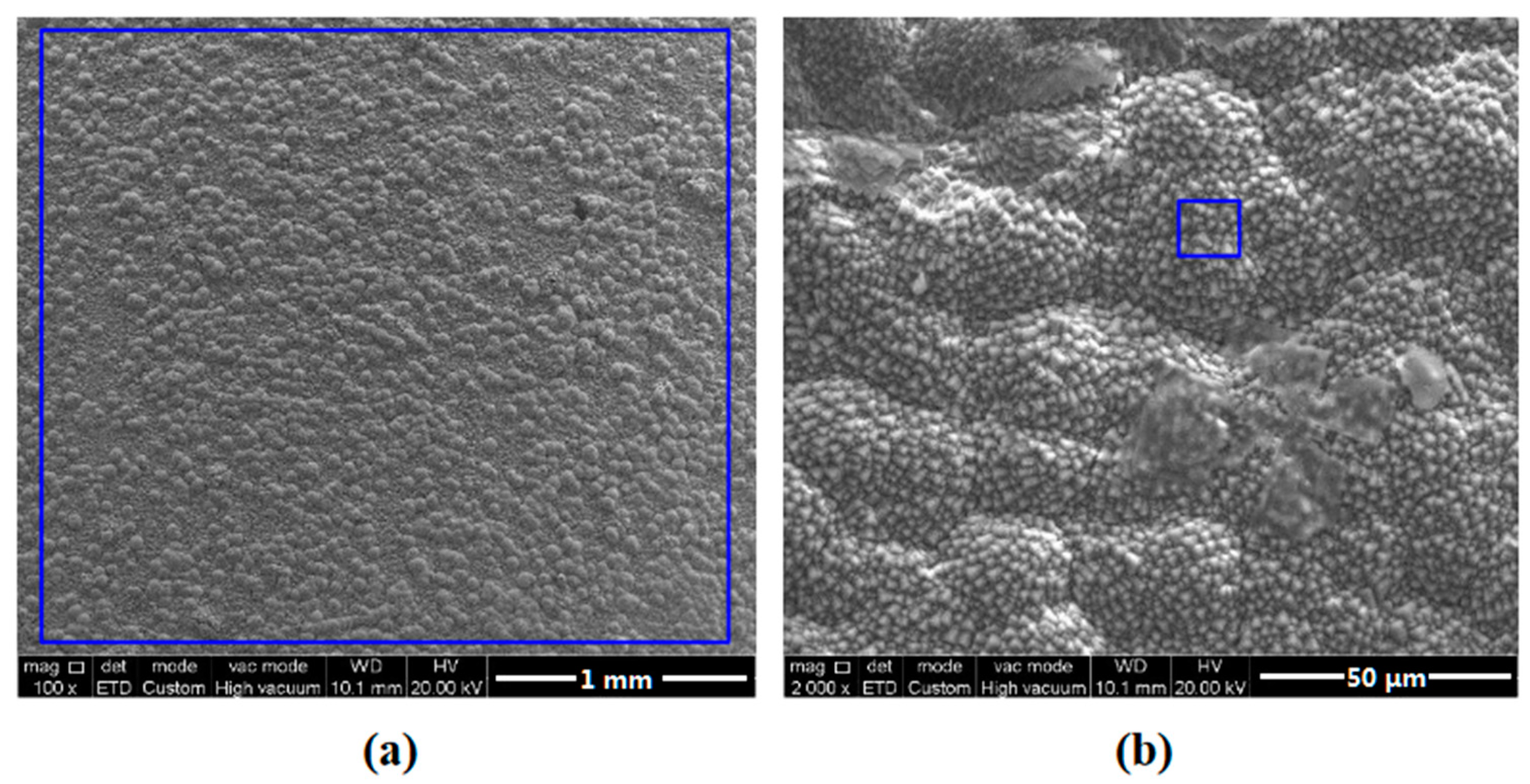Coatings 13 00821 g007