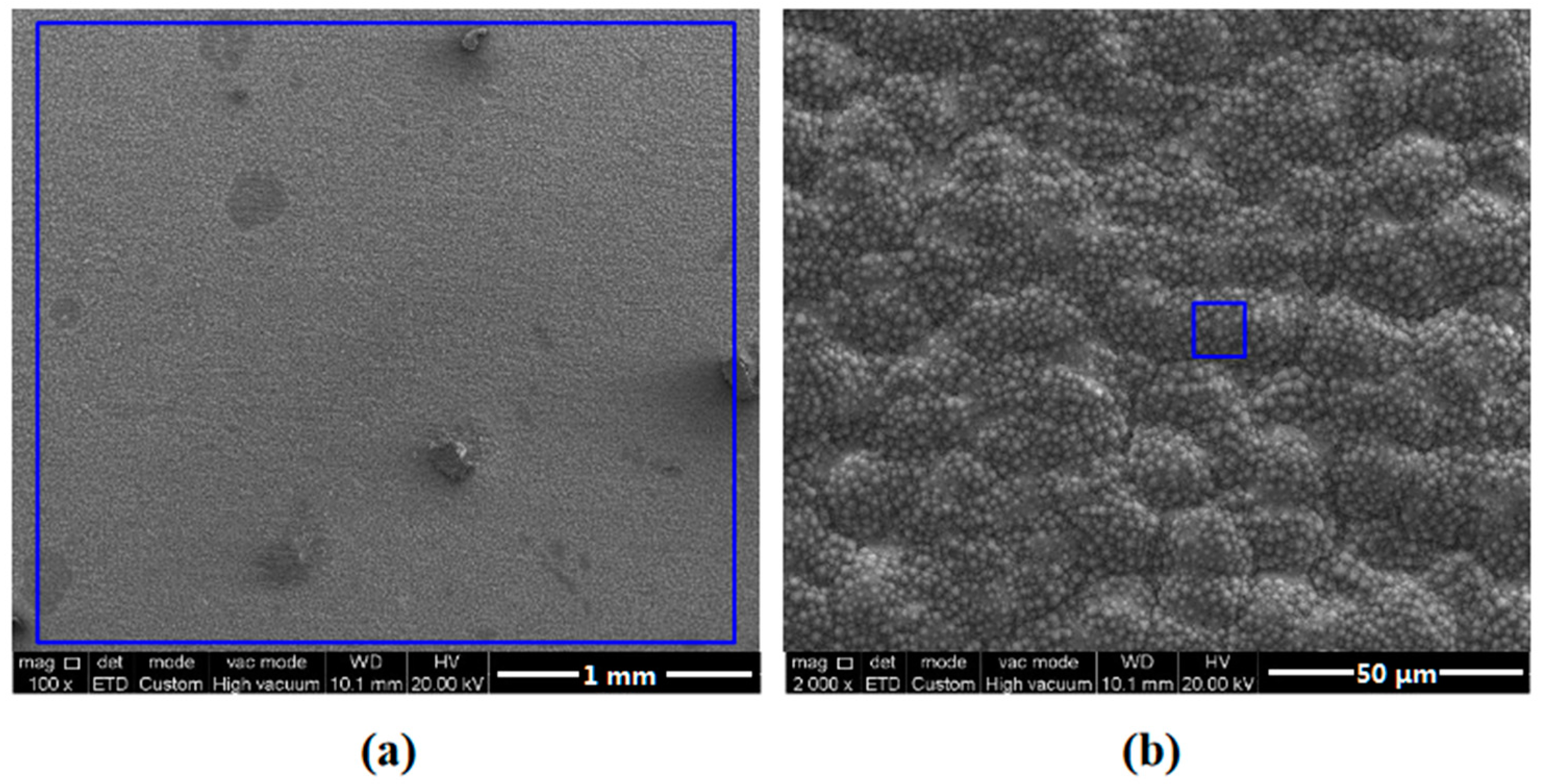 Coatings 13 00821 g010