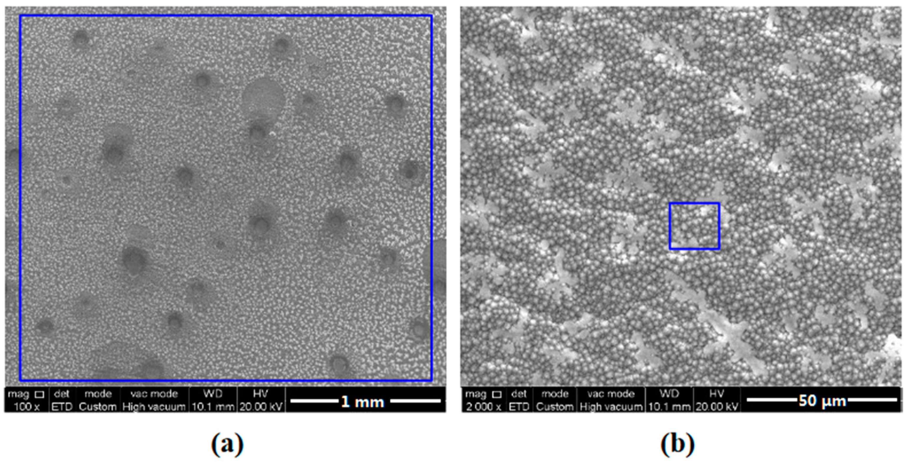 Coatings 13 00821 g011