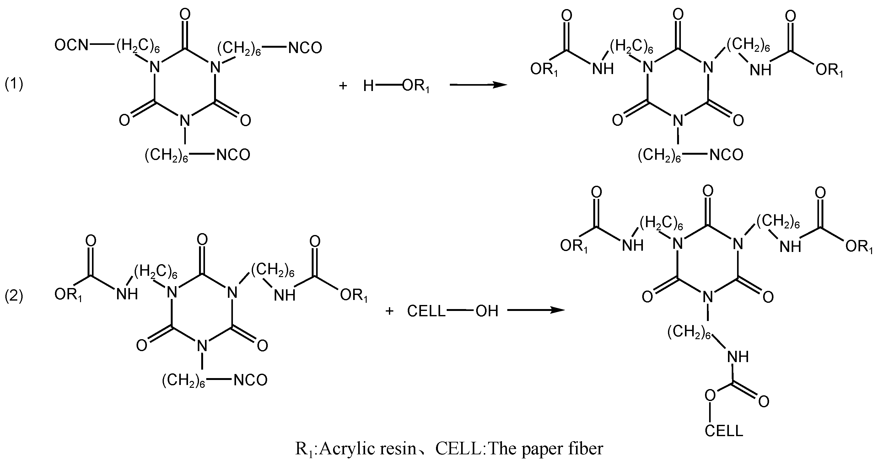 Coatings 13 00822 g002