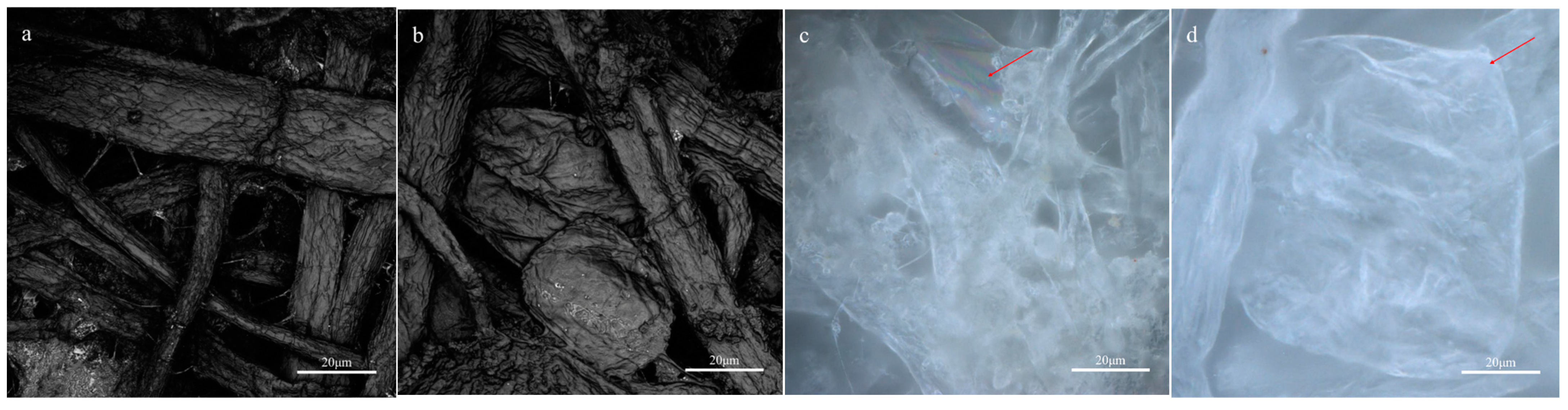 Coatings 13 00822 g009