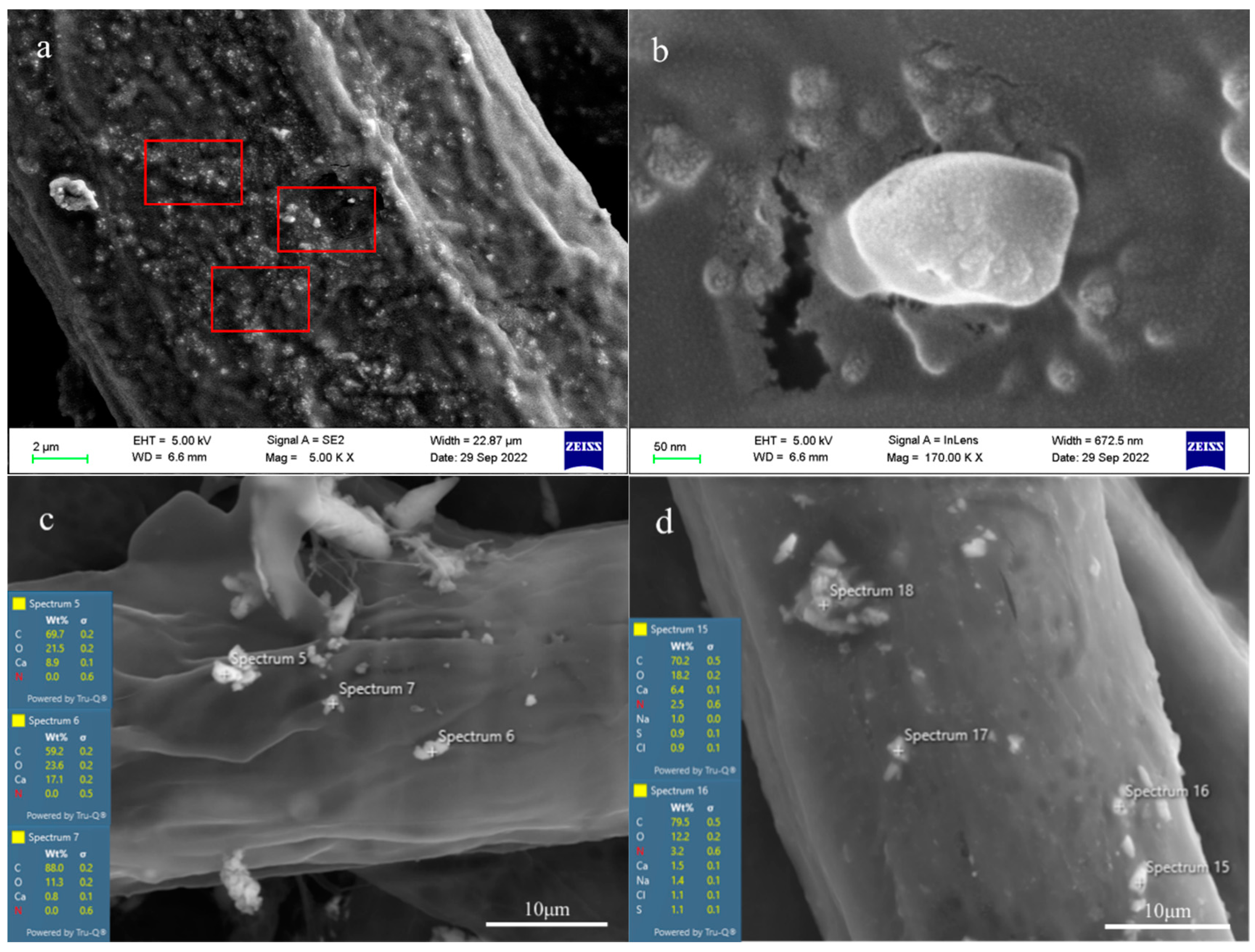 Coatings 13 00822 g010