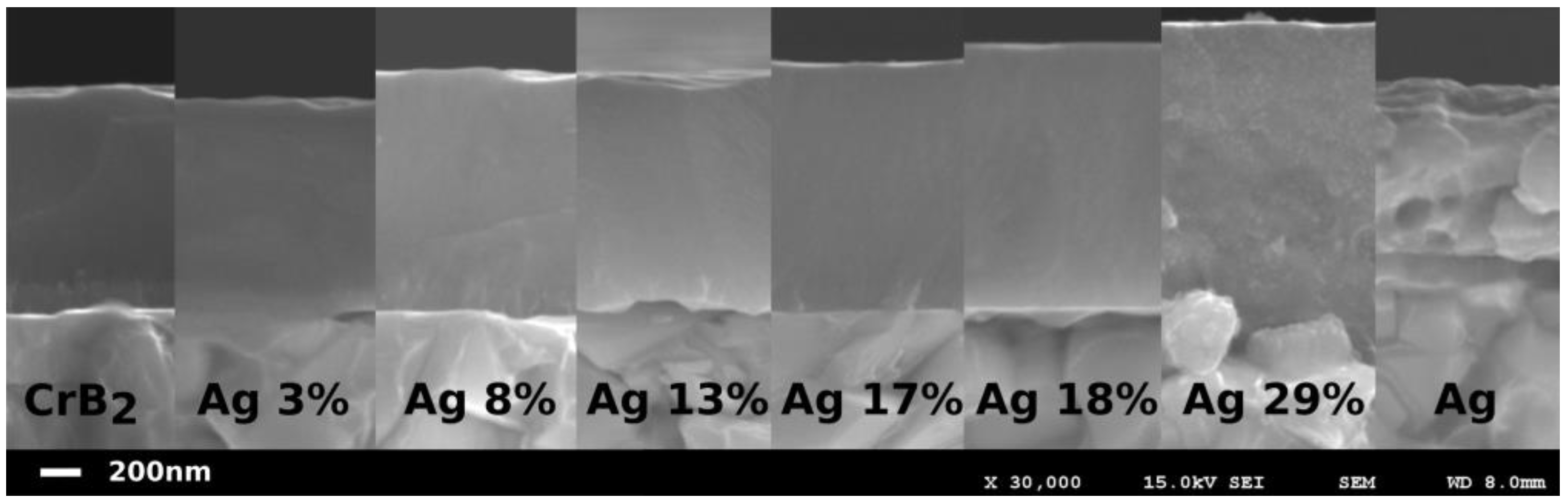 Coatings 13 00824 g002