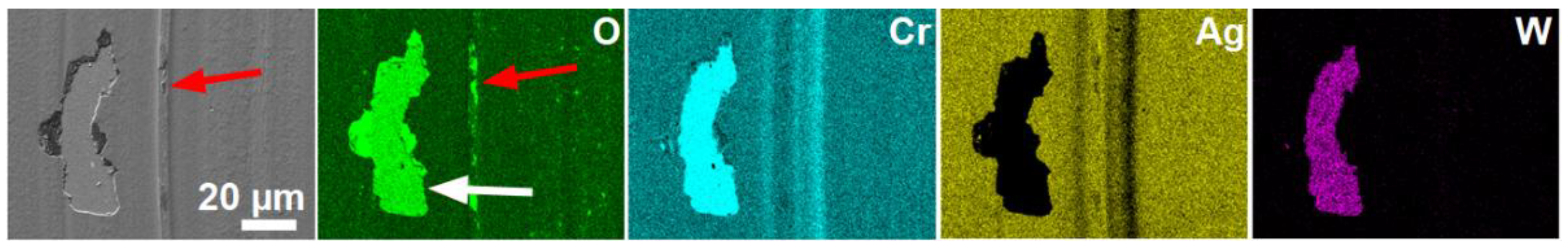 Coatings 13 00824 g005