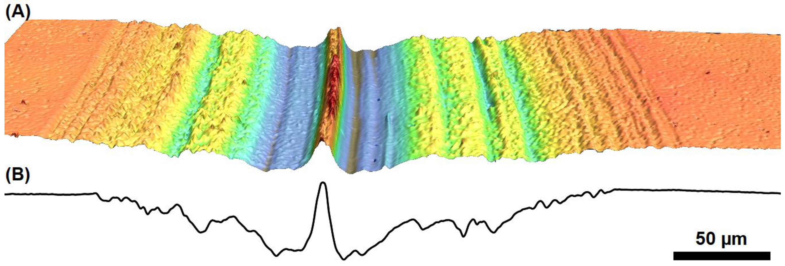 Coatings 13 00824 g006