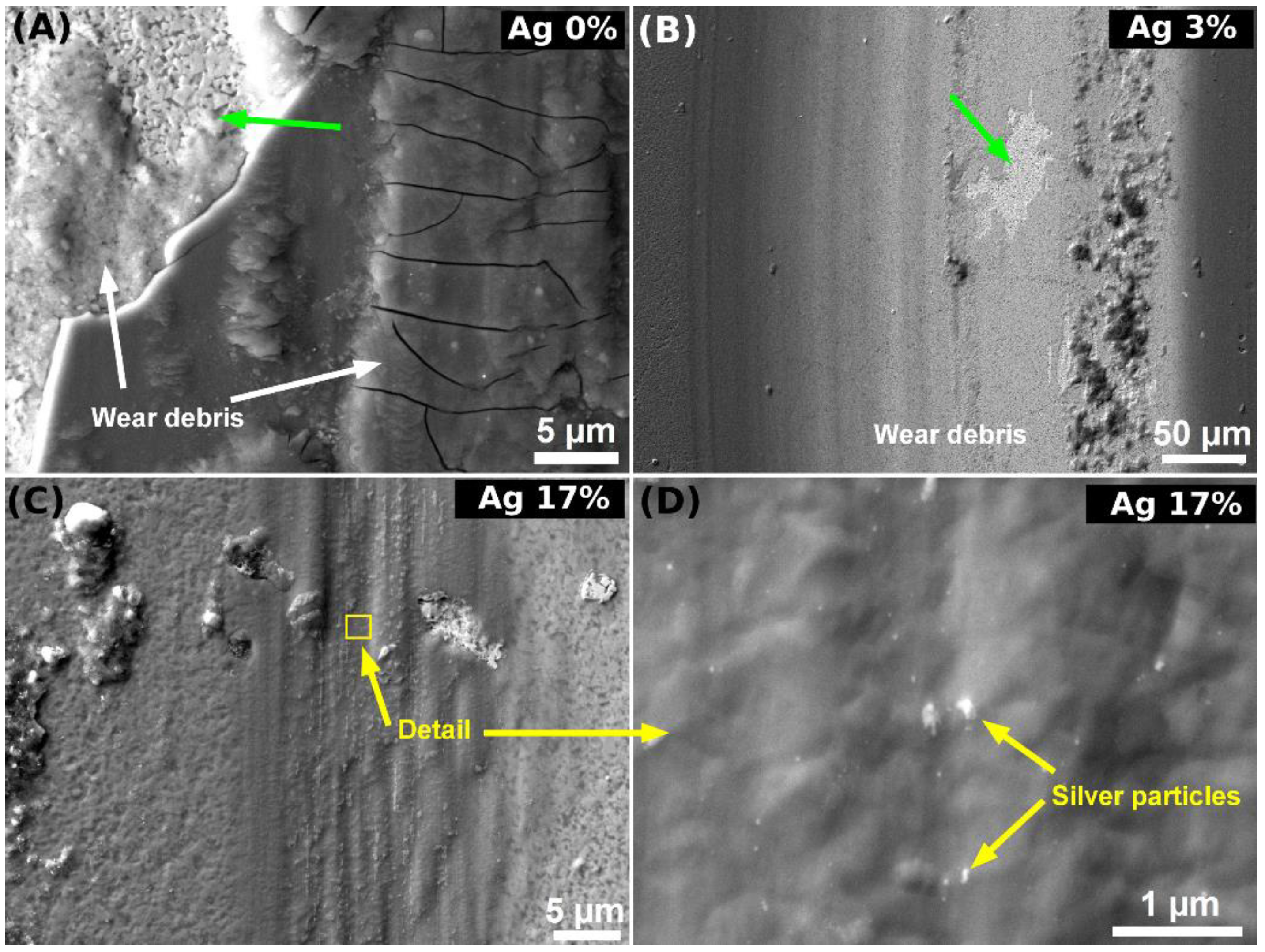 Coatings 13 00824 g007