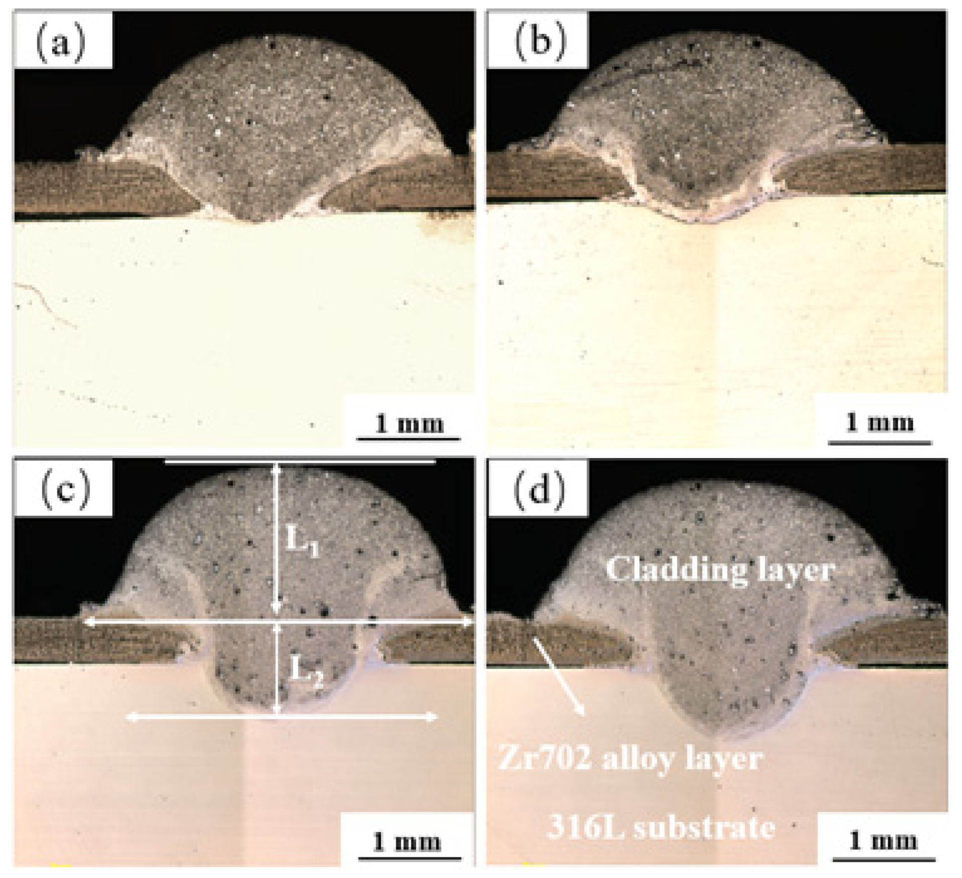 Coatings 13 00826 g002