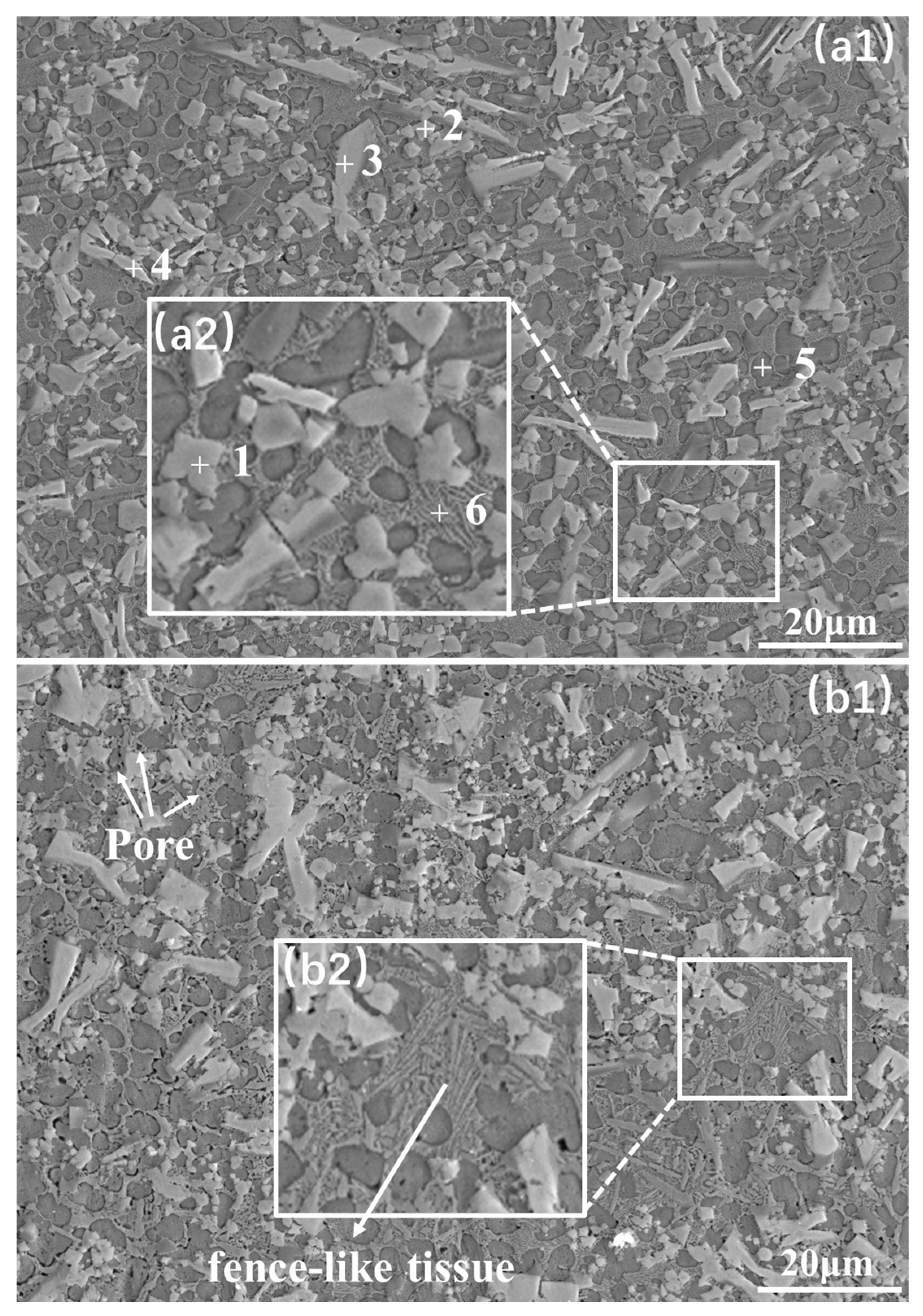 Coatings 13 00826 g005