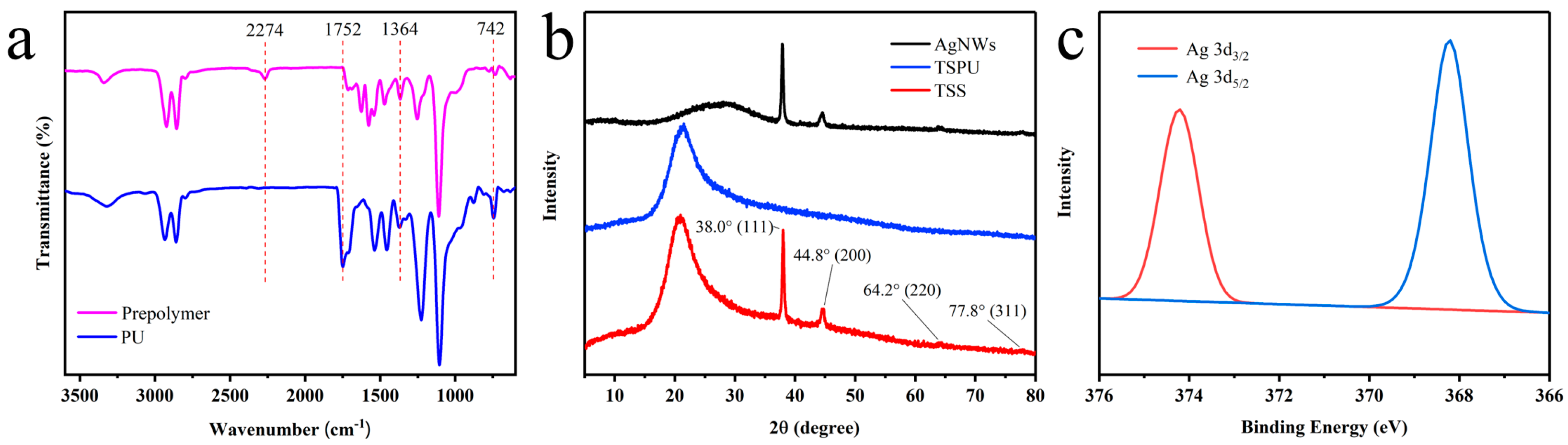 Coatings 13 00829 g003