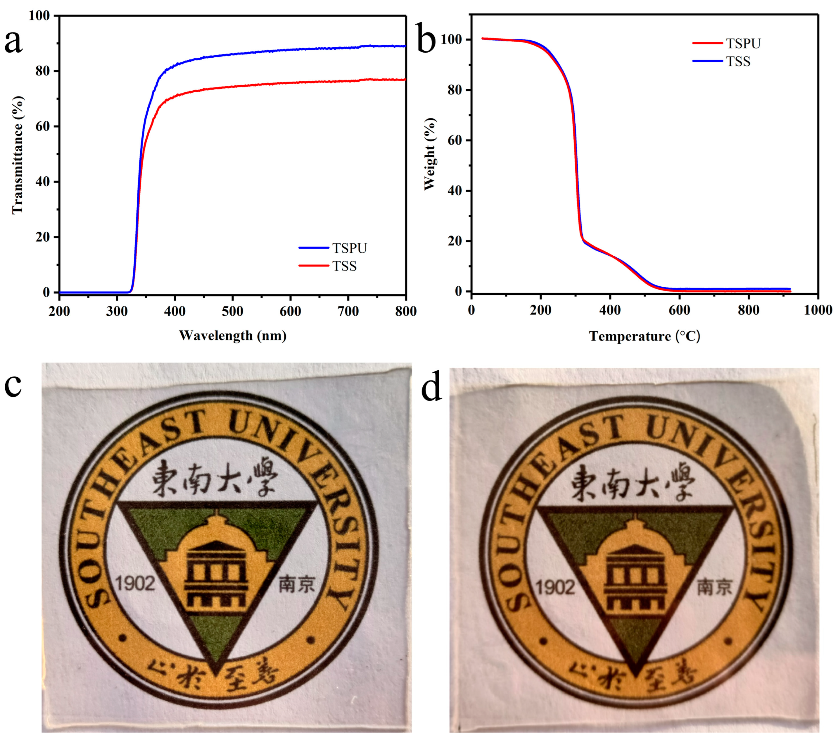 Coatings 13 00829 g004