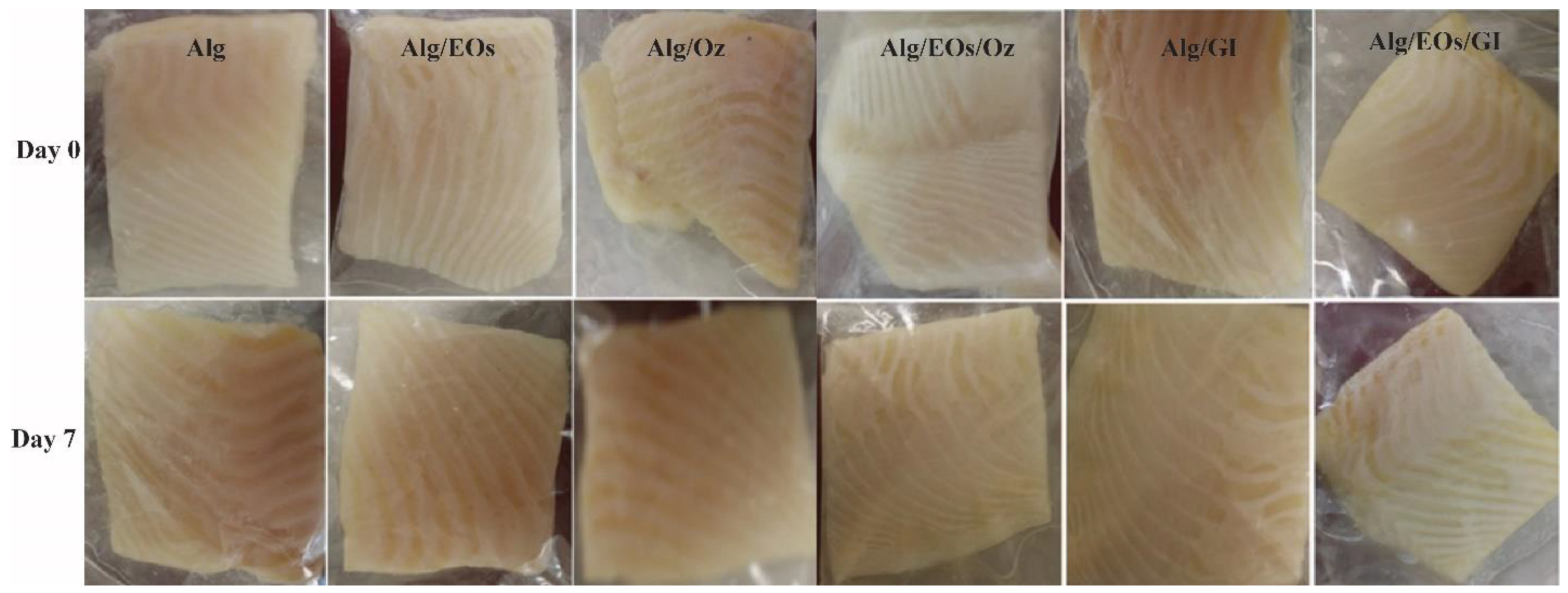 Coatings 13 00830 g002