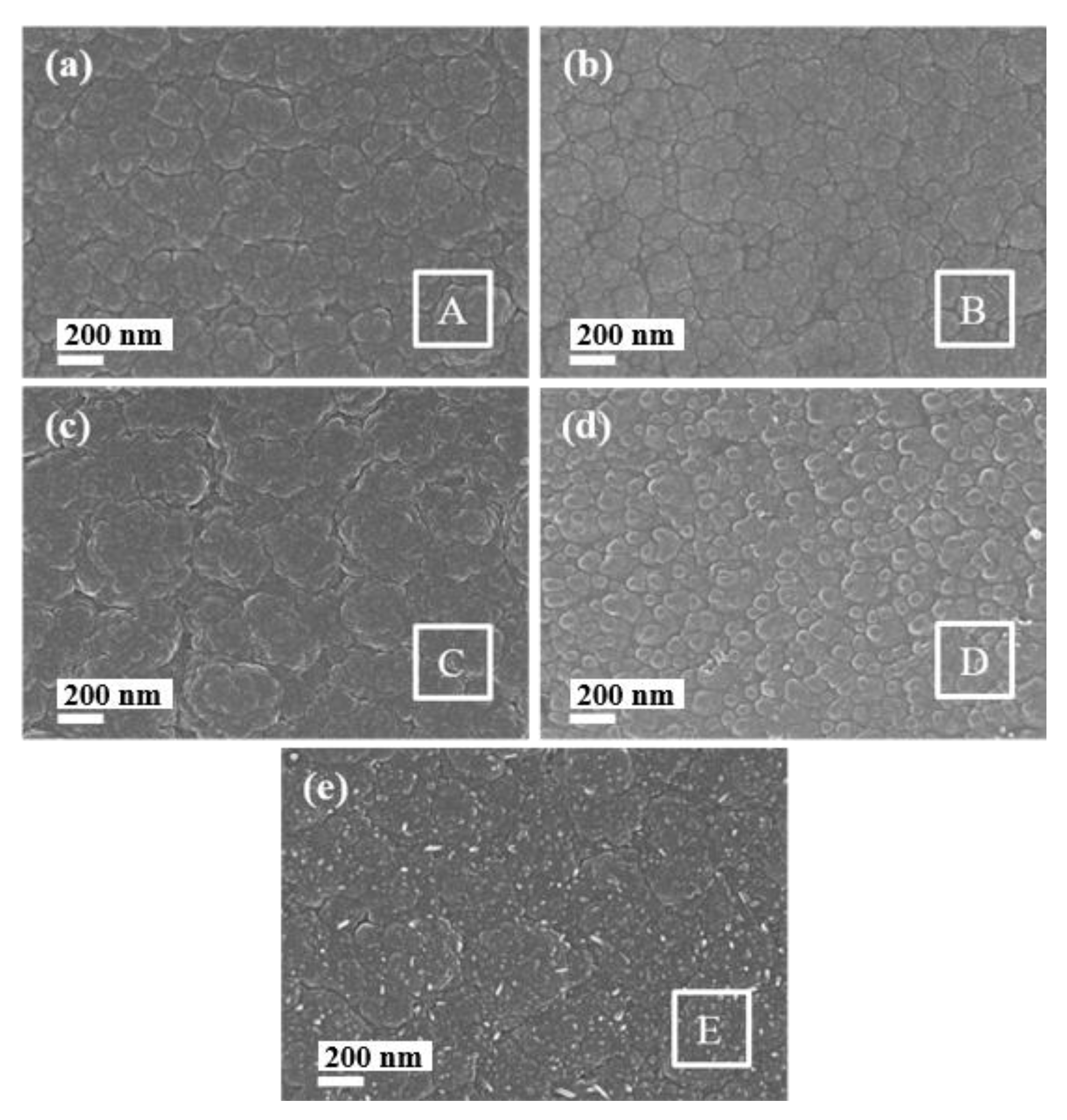 Coatings 13 00833 g001