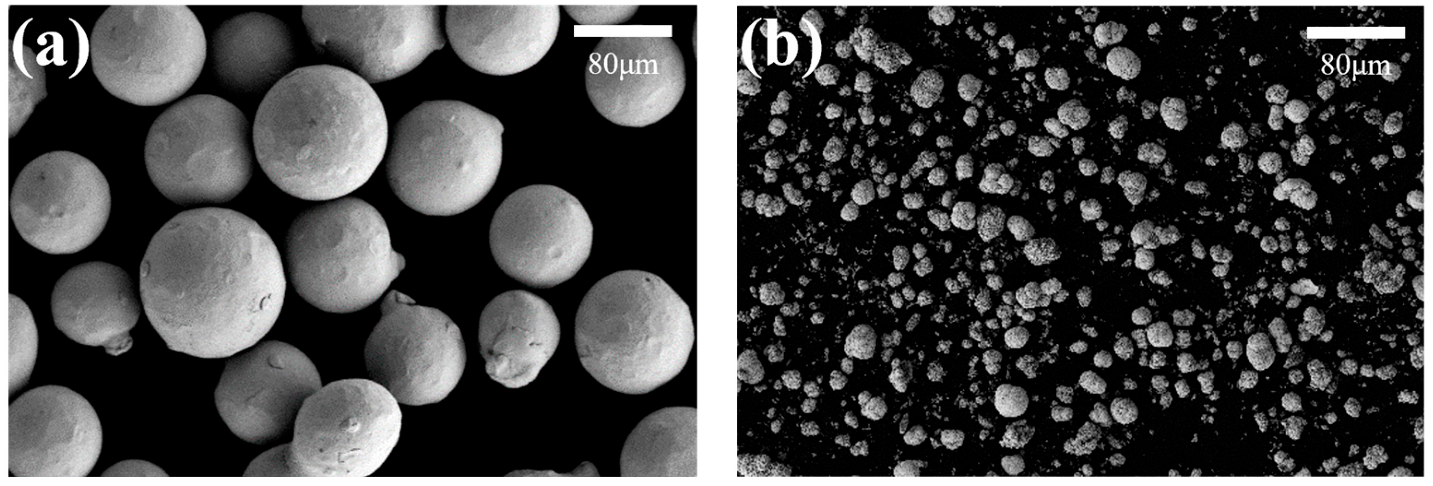 Coatings 13 00834 g001