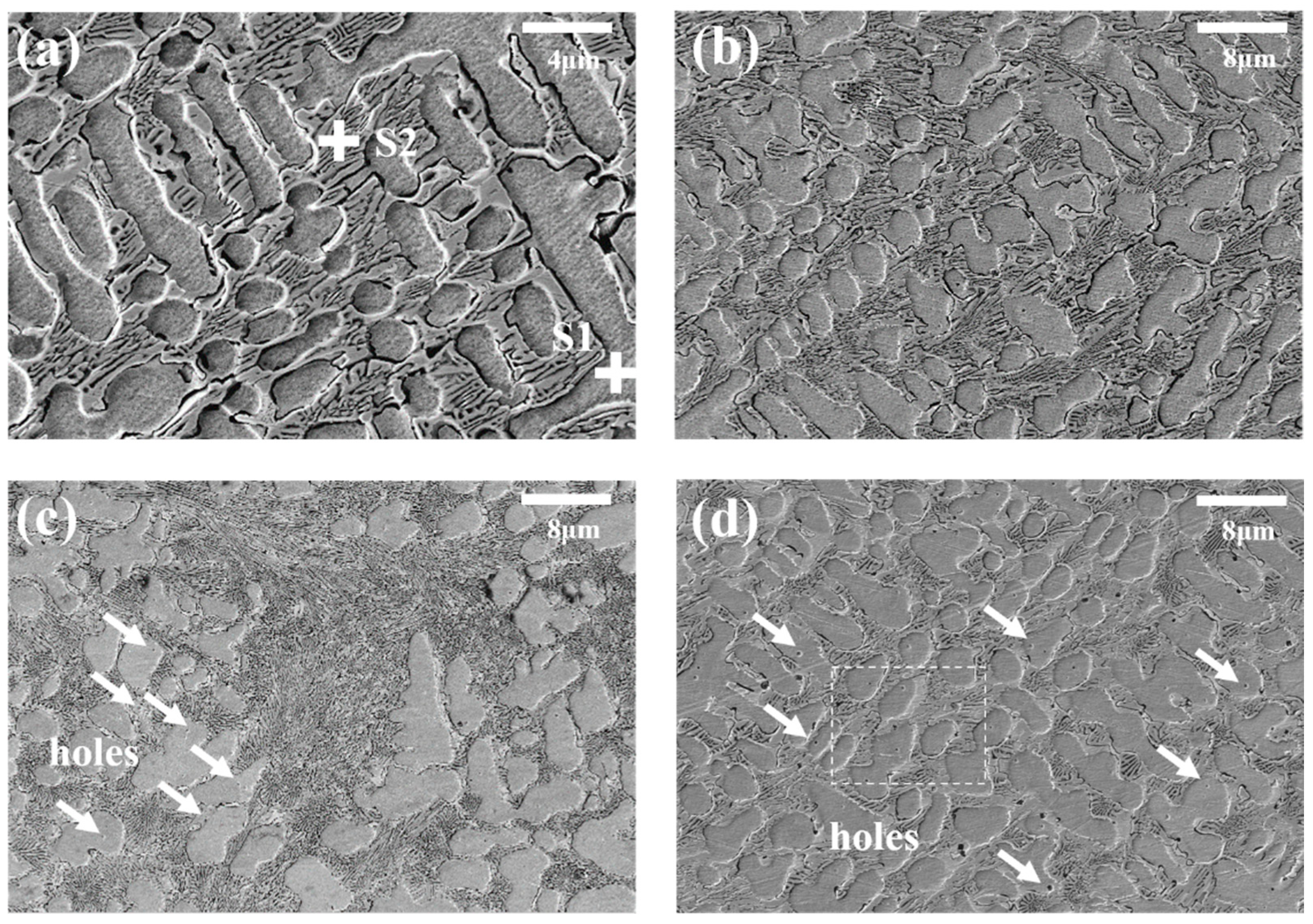 Coatings 13 00834 g003